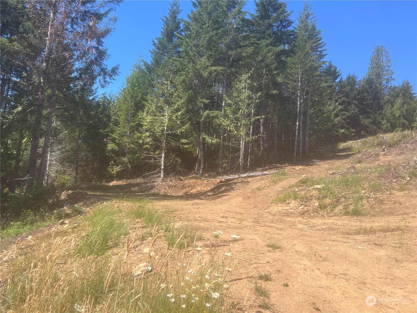1 Xxxx Mt Jupiter Road Property Photo 9