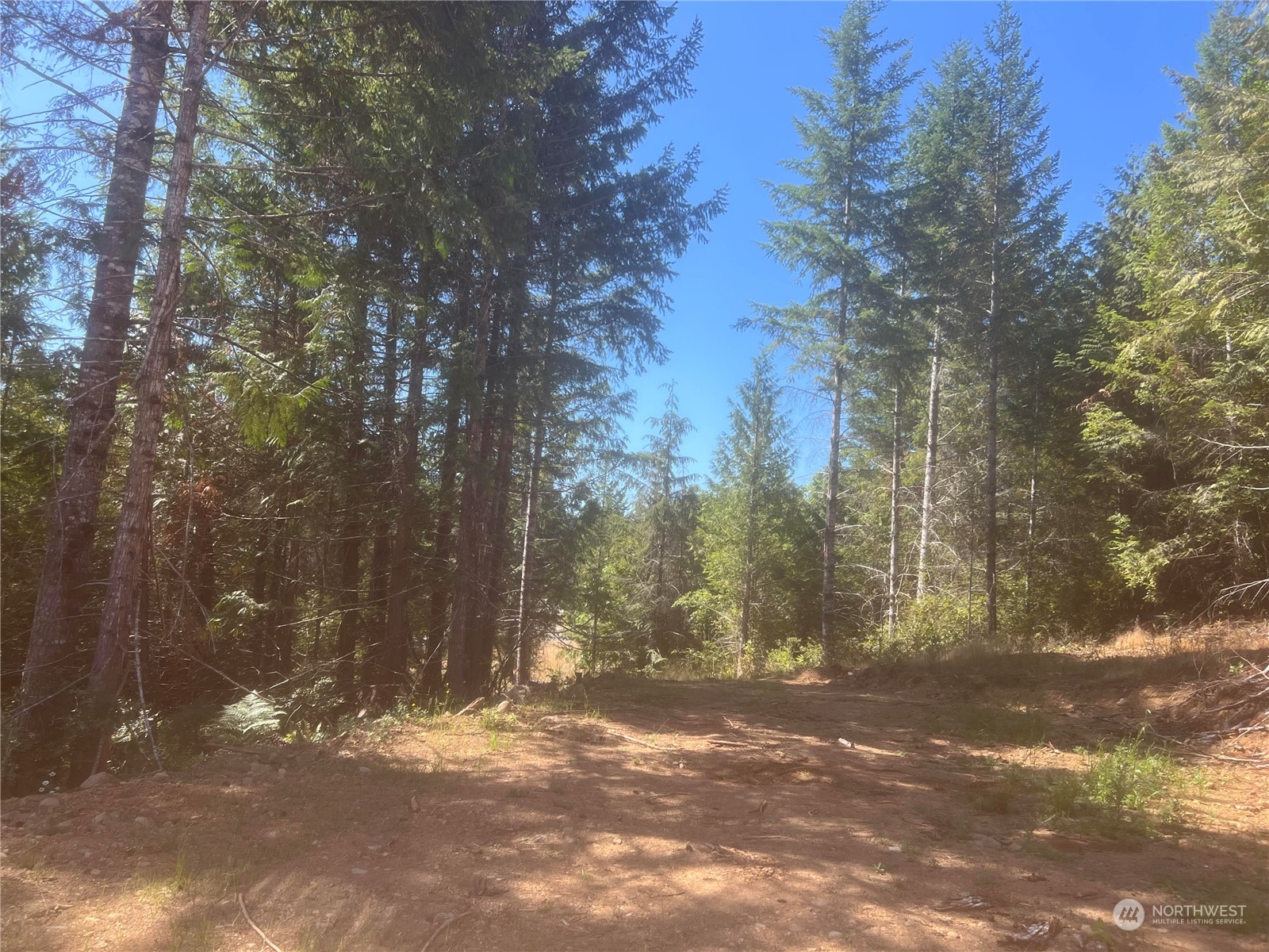 1 Xxxx Mt Jupiter Road Property Photo 12