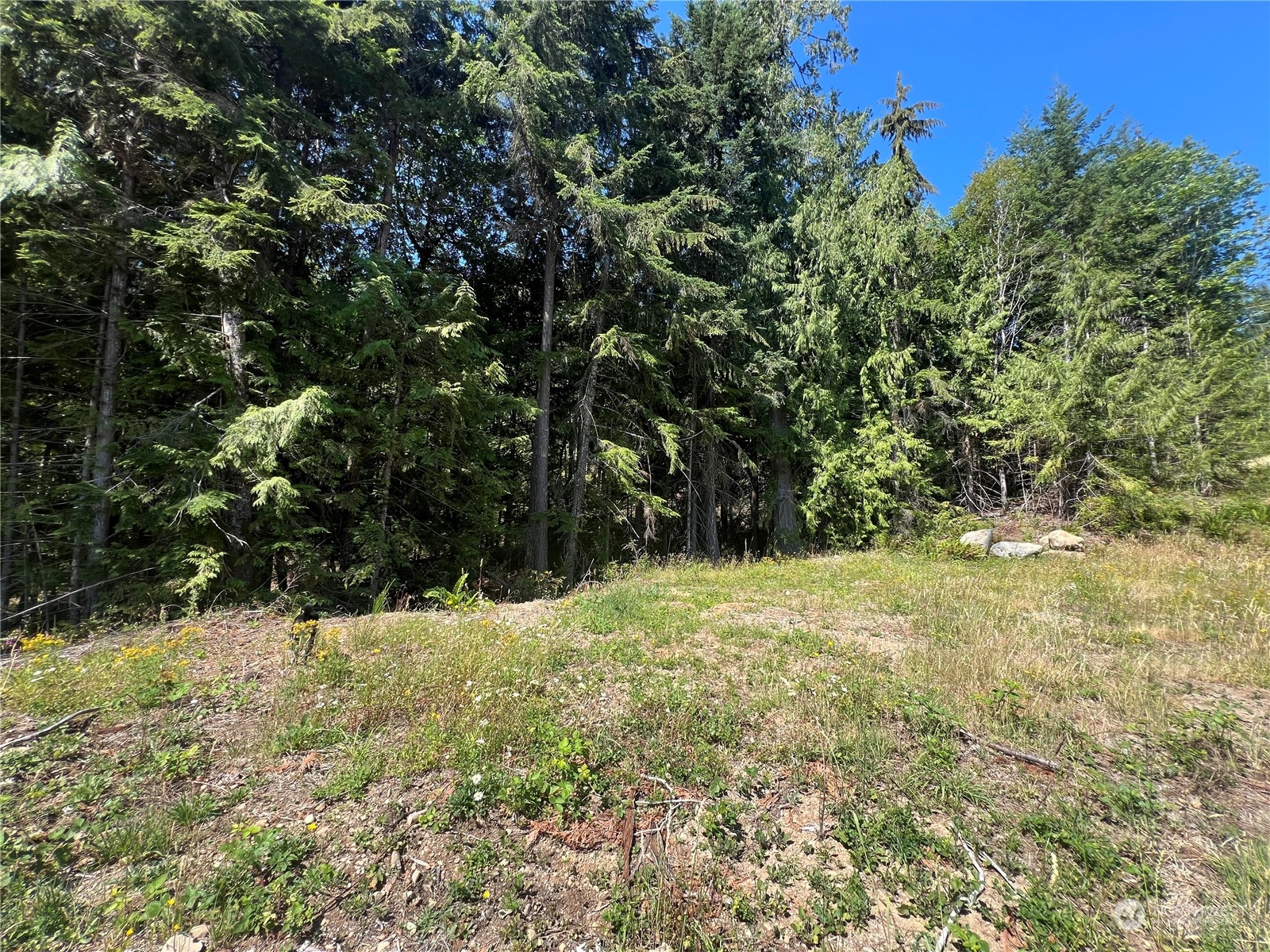 1 Xxxx Mt Jupiter Road Property Photo 17