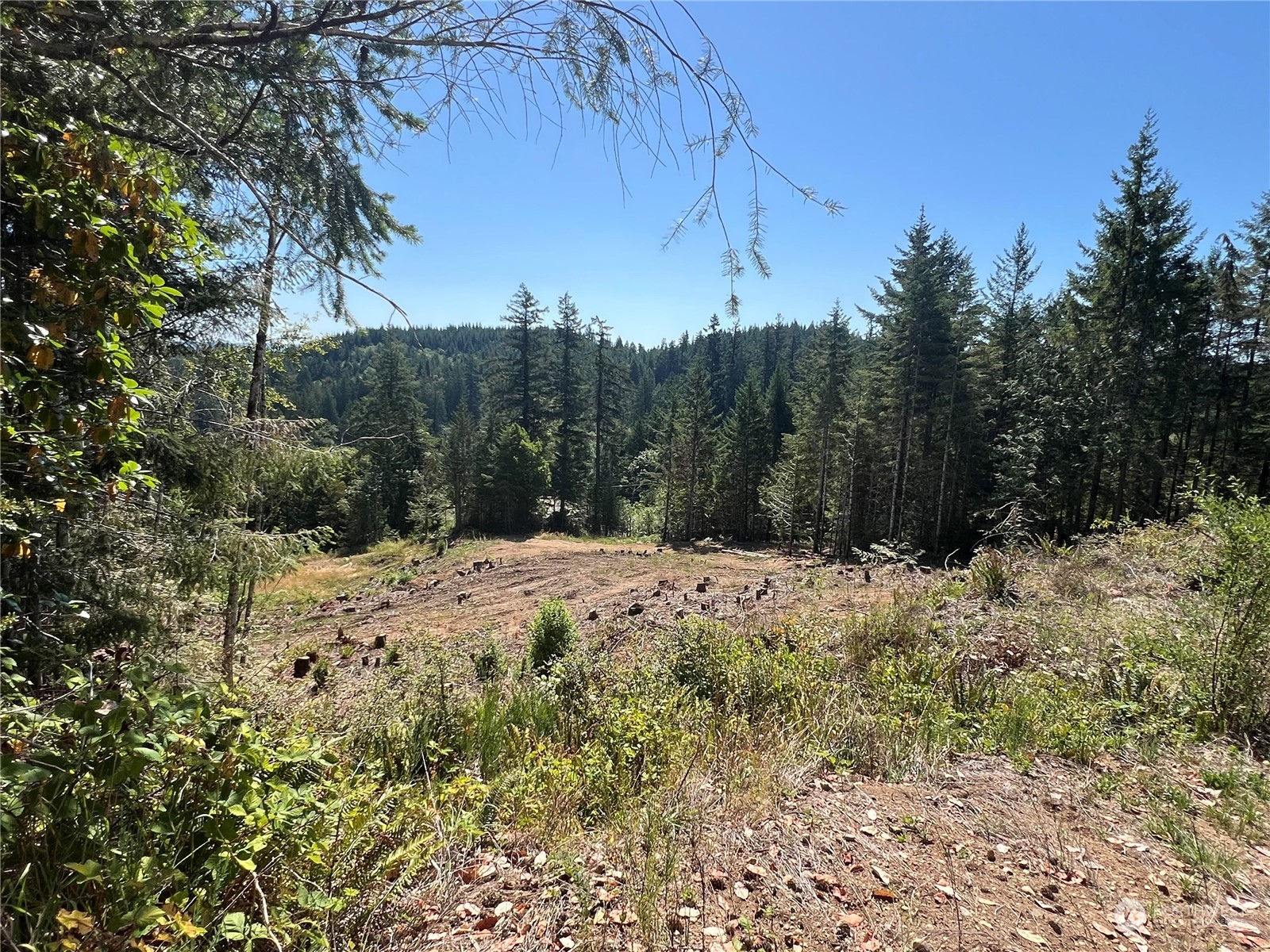 1 Xxxx Mt Jupiter Road Property Photo 19