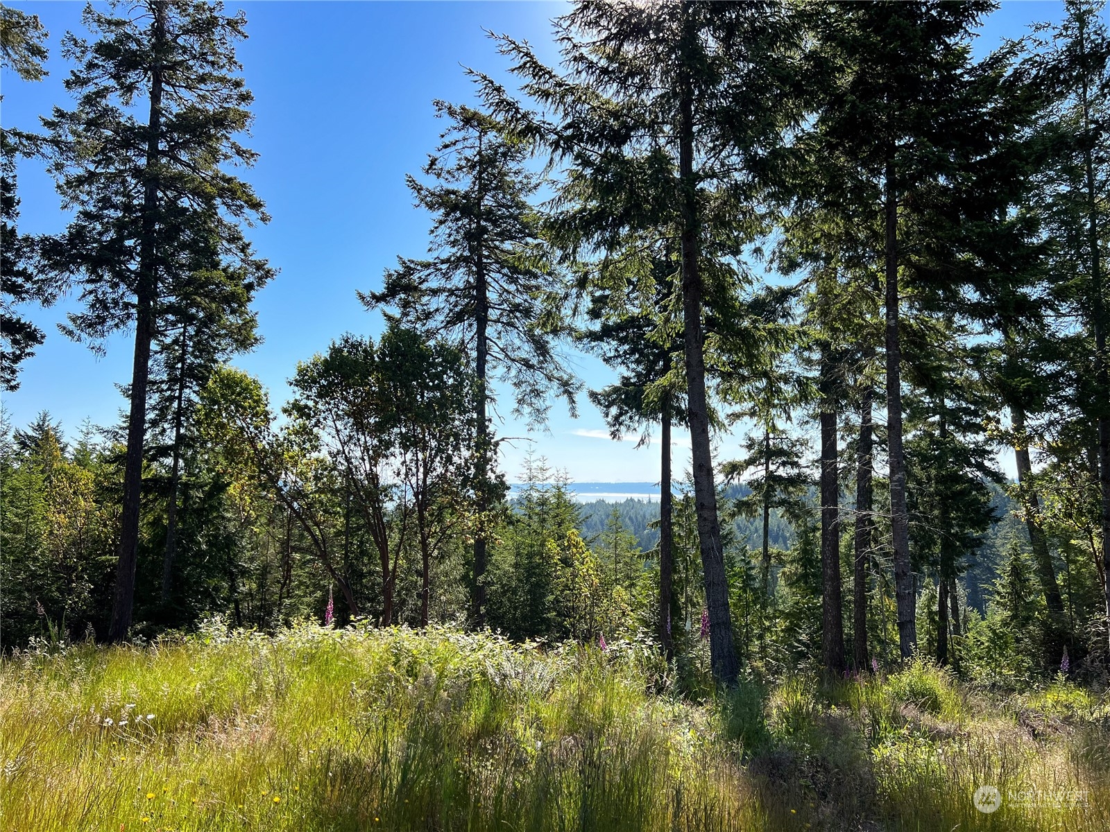2 Xxxx Mt Jupiter Road Property Photo 9