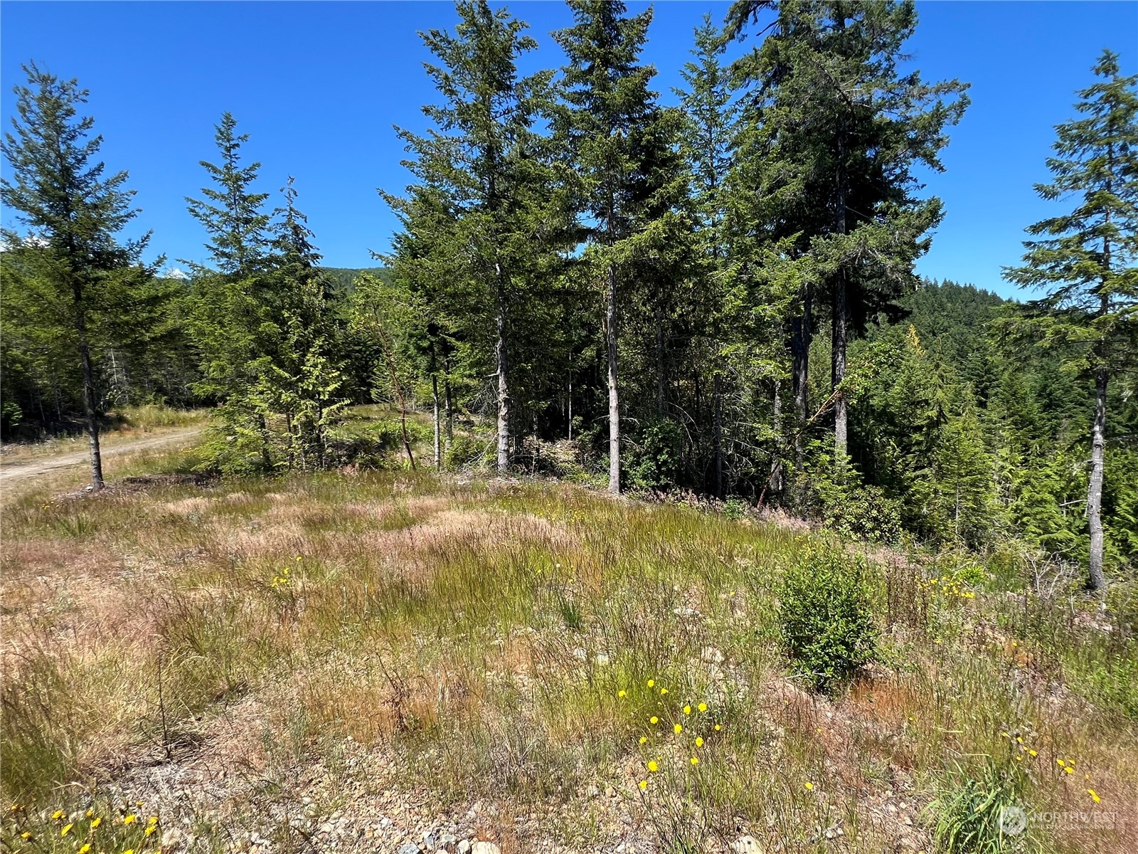 2 Xxxx Mt Jupiter Road Property Photo 12