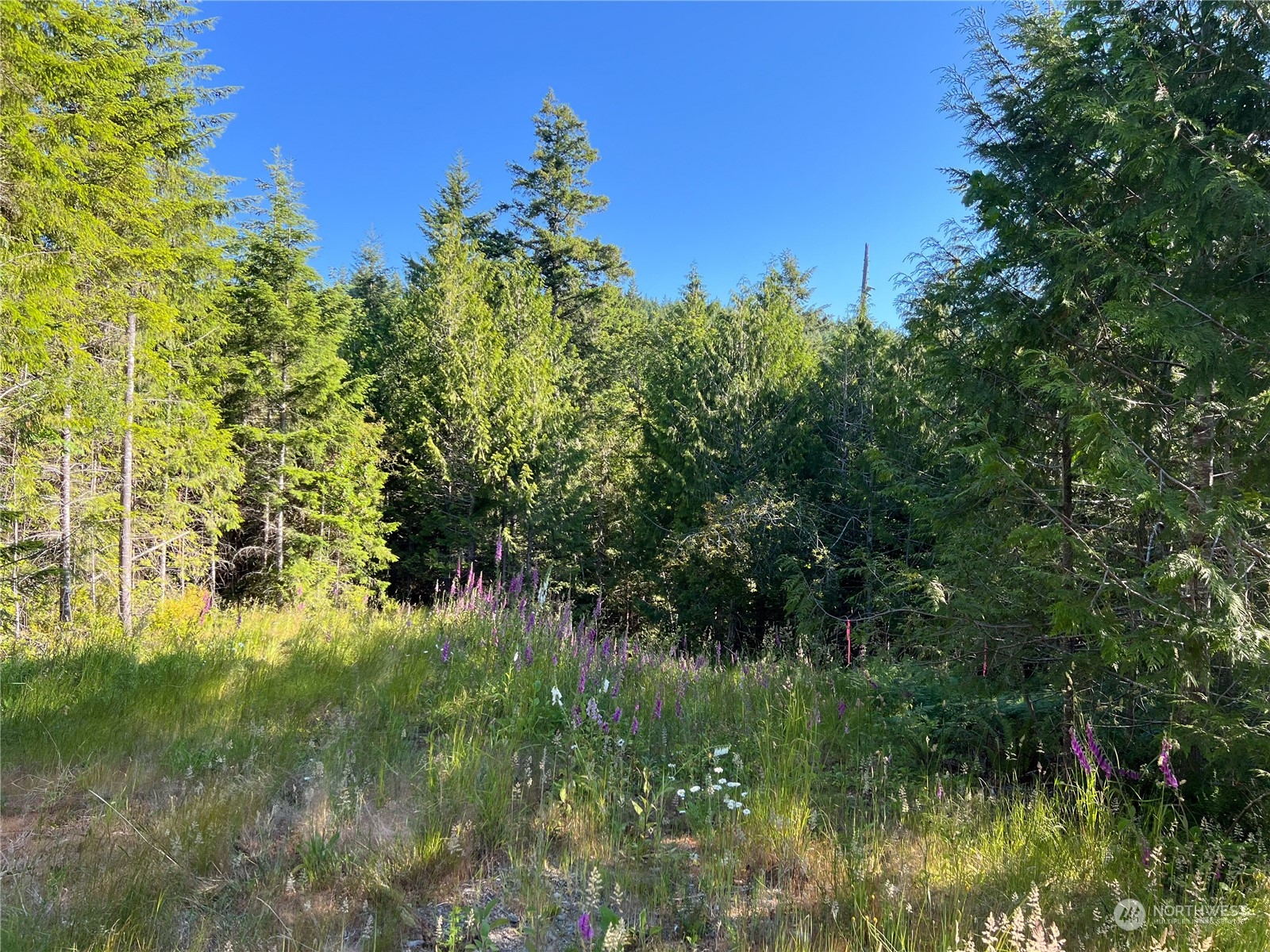 2 Xxxx Mt Jupiter Road Property Photo 15