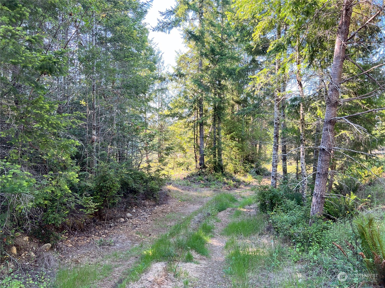2 Xxxx Mt Jupiter Road Property Photo 17