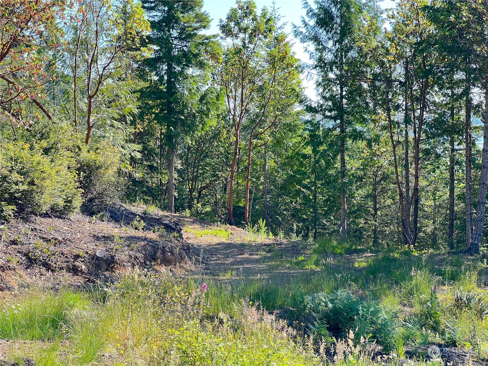 2 Xxxx Mt Jupiter Road Property Photo 18