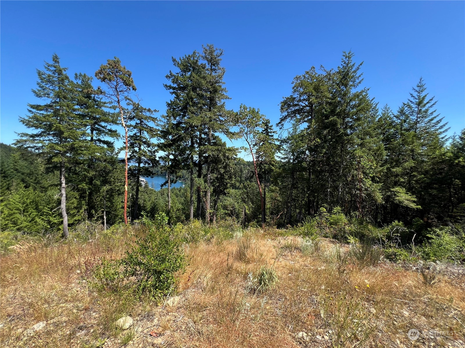 2 Xxxx Mt Jupiter Road Property Photo 24
