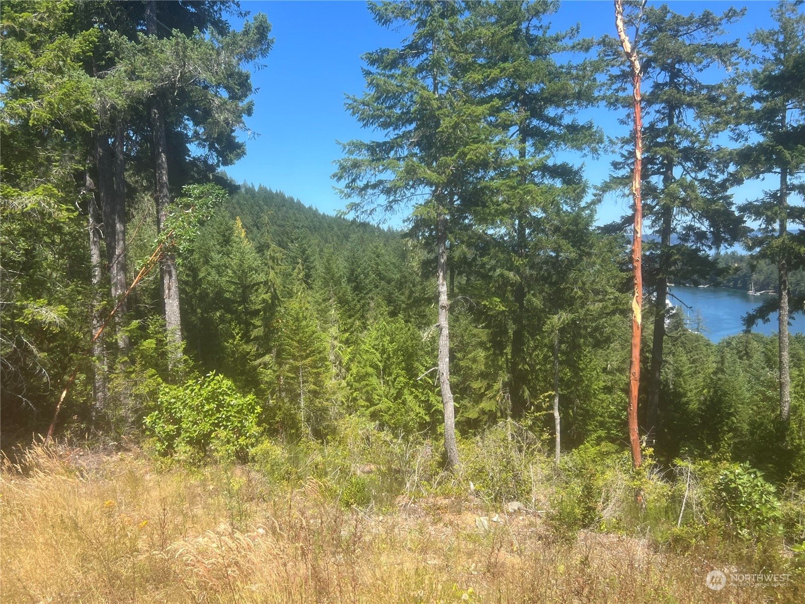 2 Xxxx Mt Jupiter Road Property Photo 25