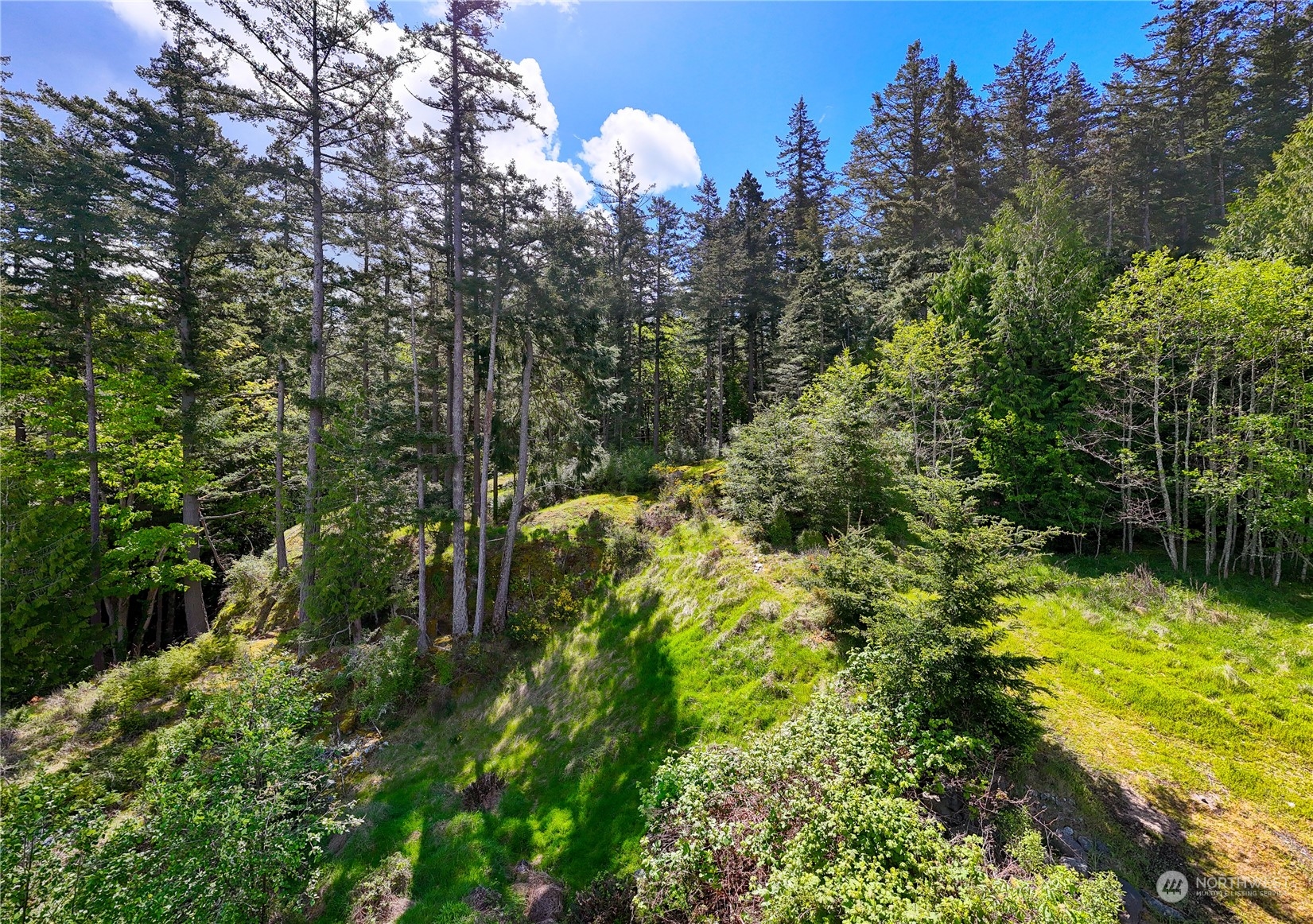 2907 17th Street Property Photo 4