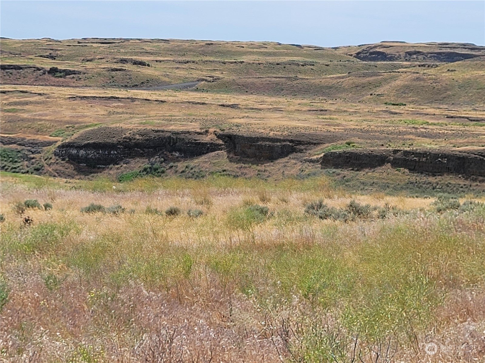 0 Lot 38 Eagle Springs Ranch Property Photo 13