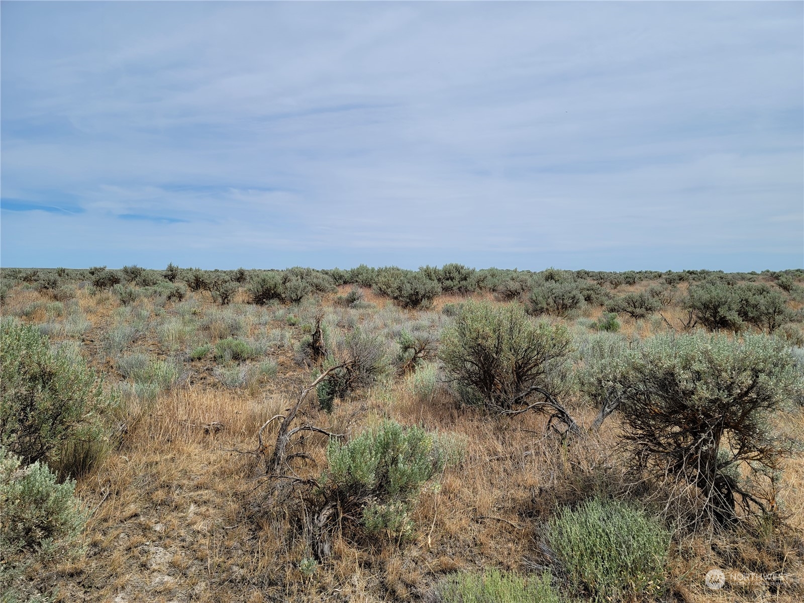 0 Lot 38 Eagle Springs Ranch Property Photo 19