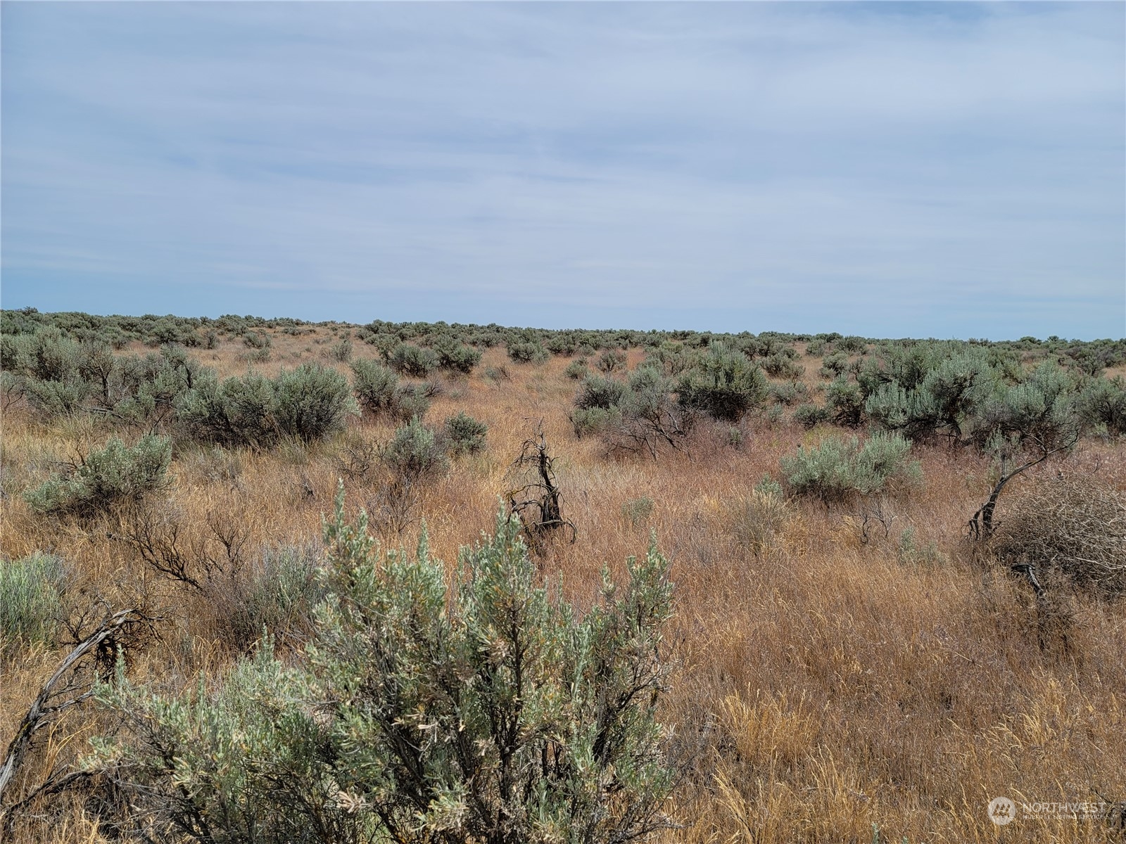 0 Lot 38 Eagle Springs Ranch Property Photo 20