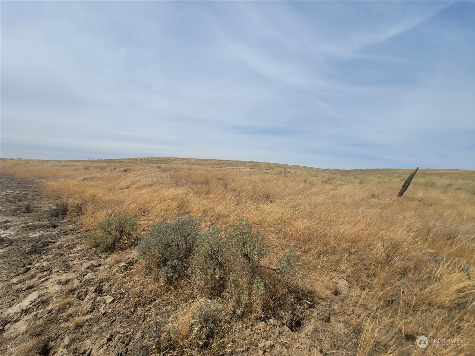 0 Lot 38 Eagle Springs Ranch Property Photo 23