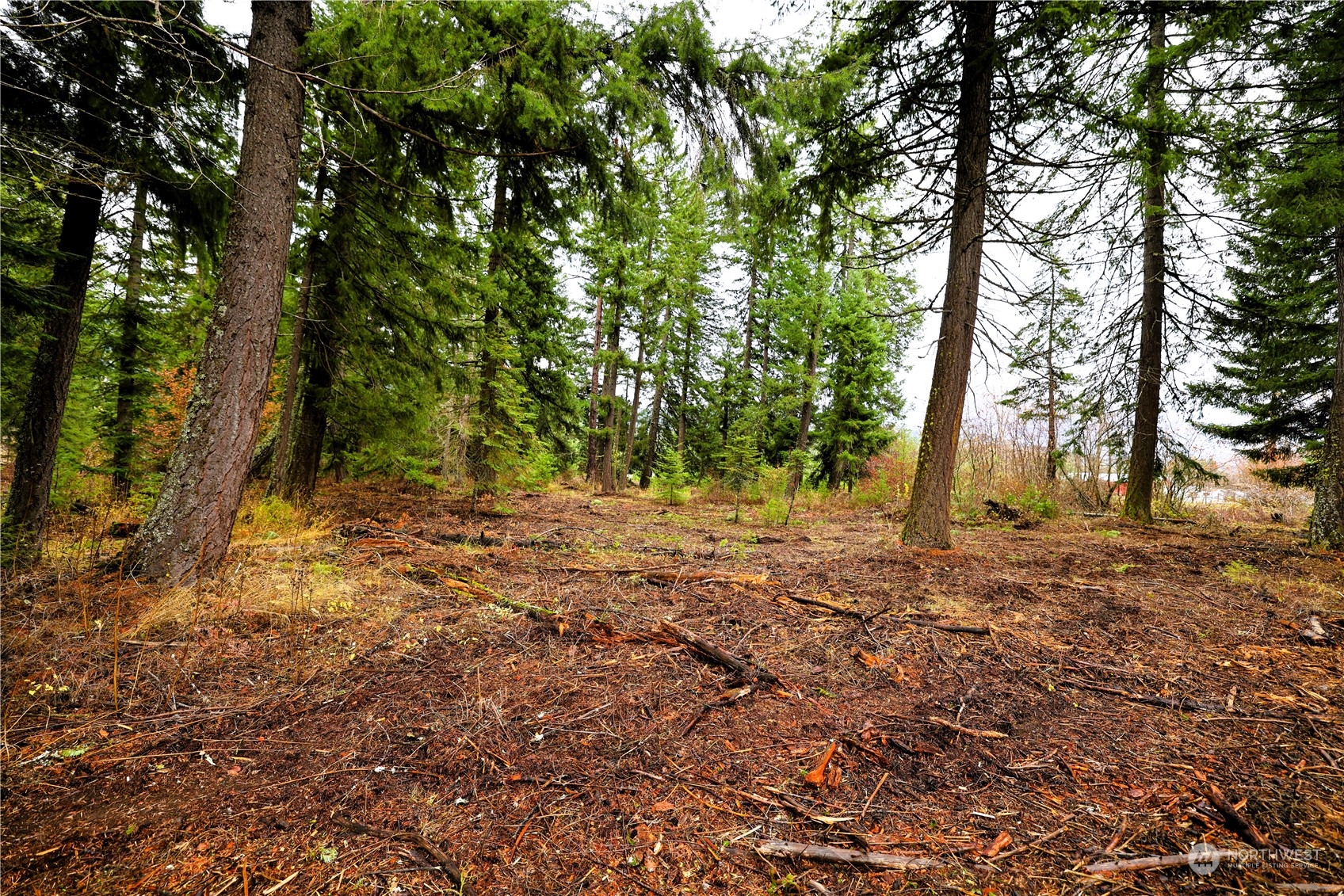 0 R Lot 4 Nelson View Way Property Photo