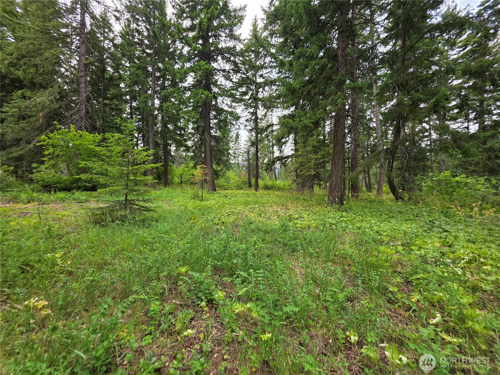 0 R Lot 4 Nelson View Way Property Photo 1