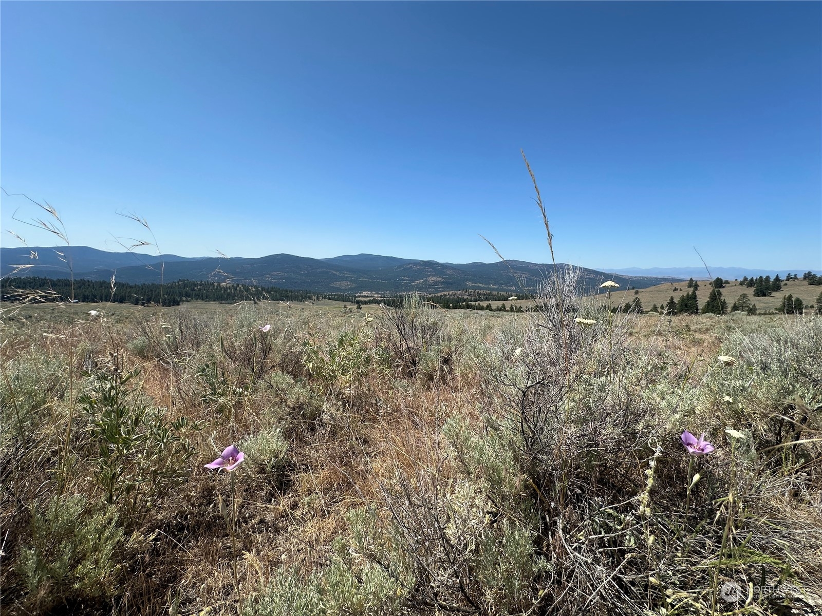 25 Harvest Moon Lane Property Photo 1
