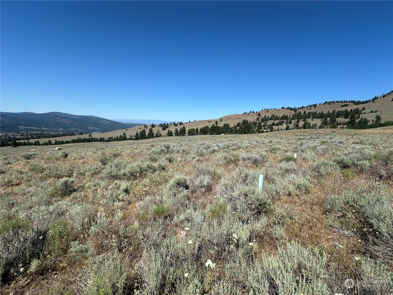 25 Harvest Moon Lane Property Photo 6
