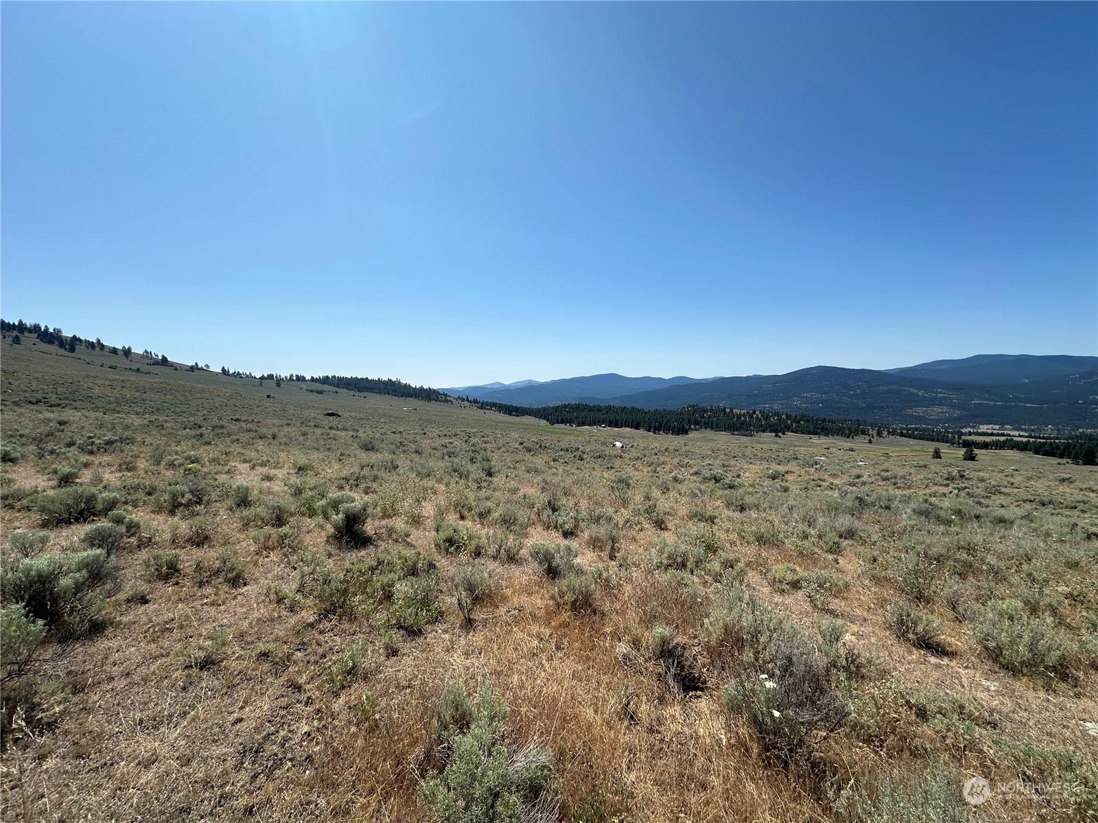 25 Harvest Moon Lane Property Photo 11