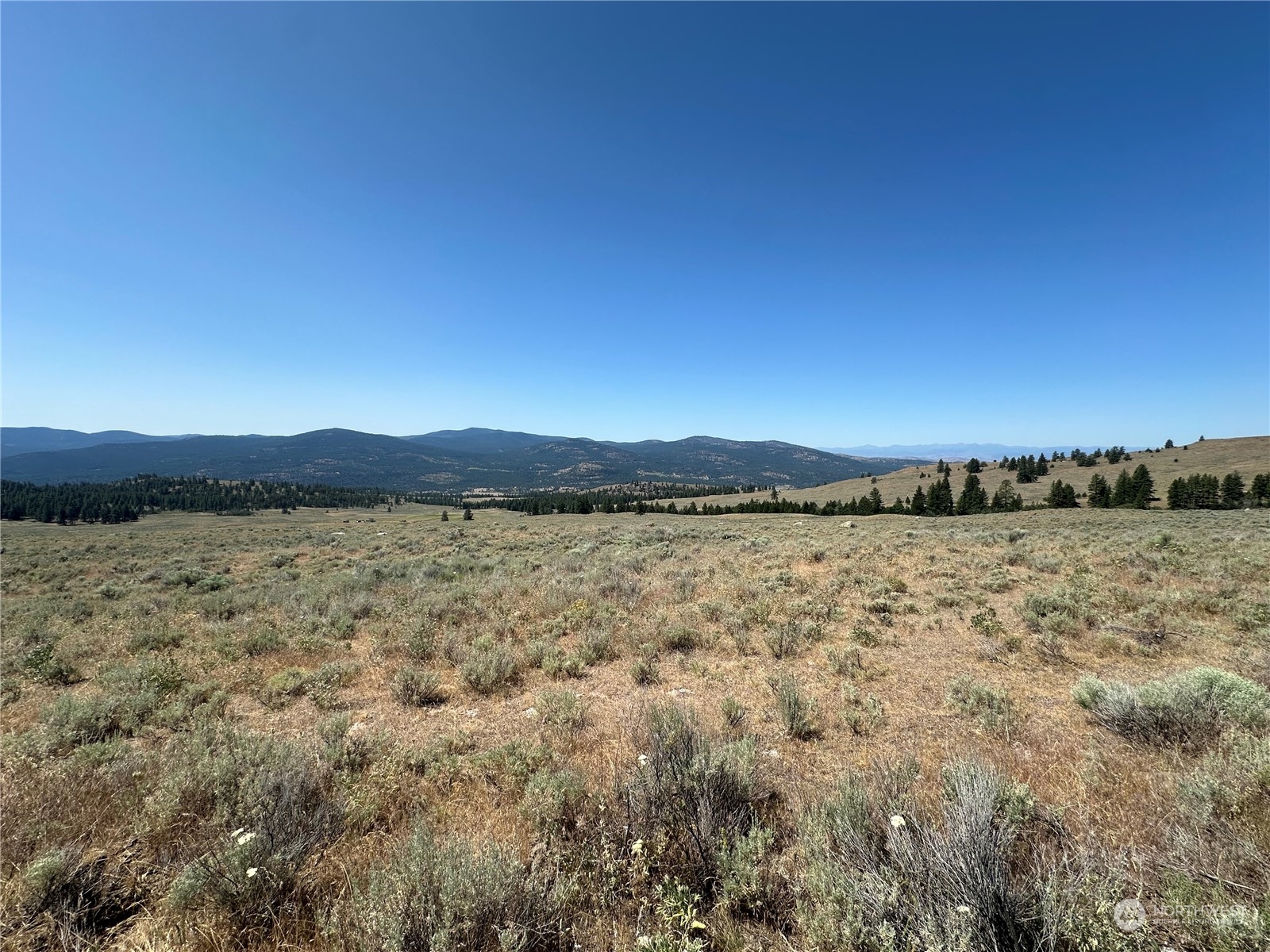 25 Harvest Moon Lane Property Photo 12