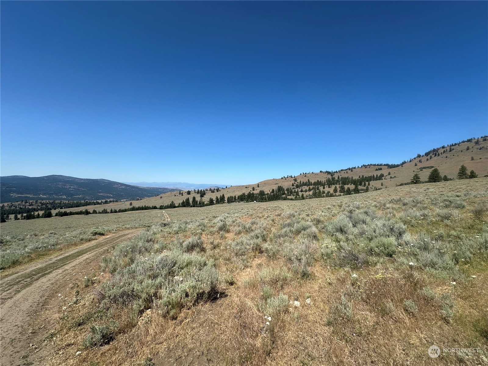 25 Harvest Moon Lane Property Photo 14