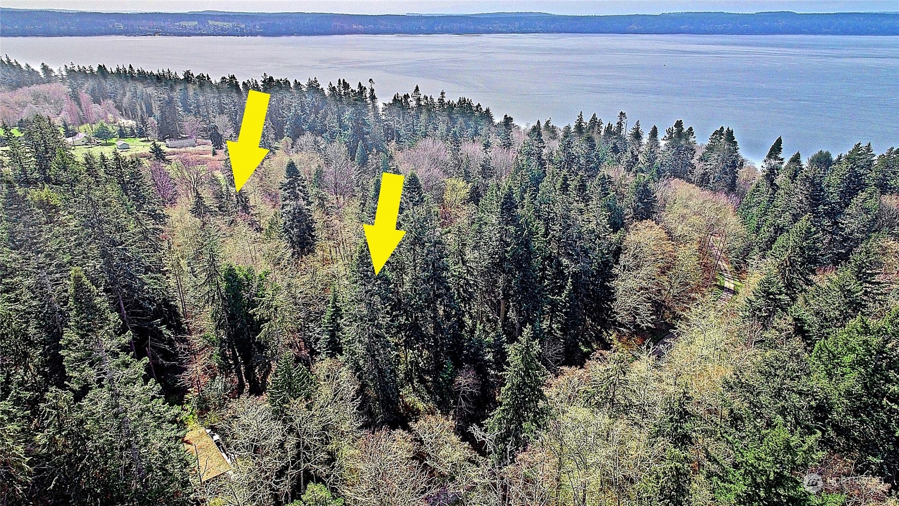 1802 Amber View Place Property Photo 2