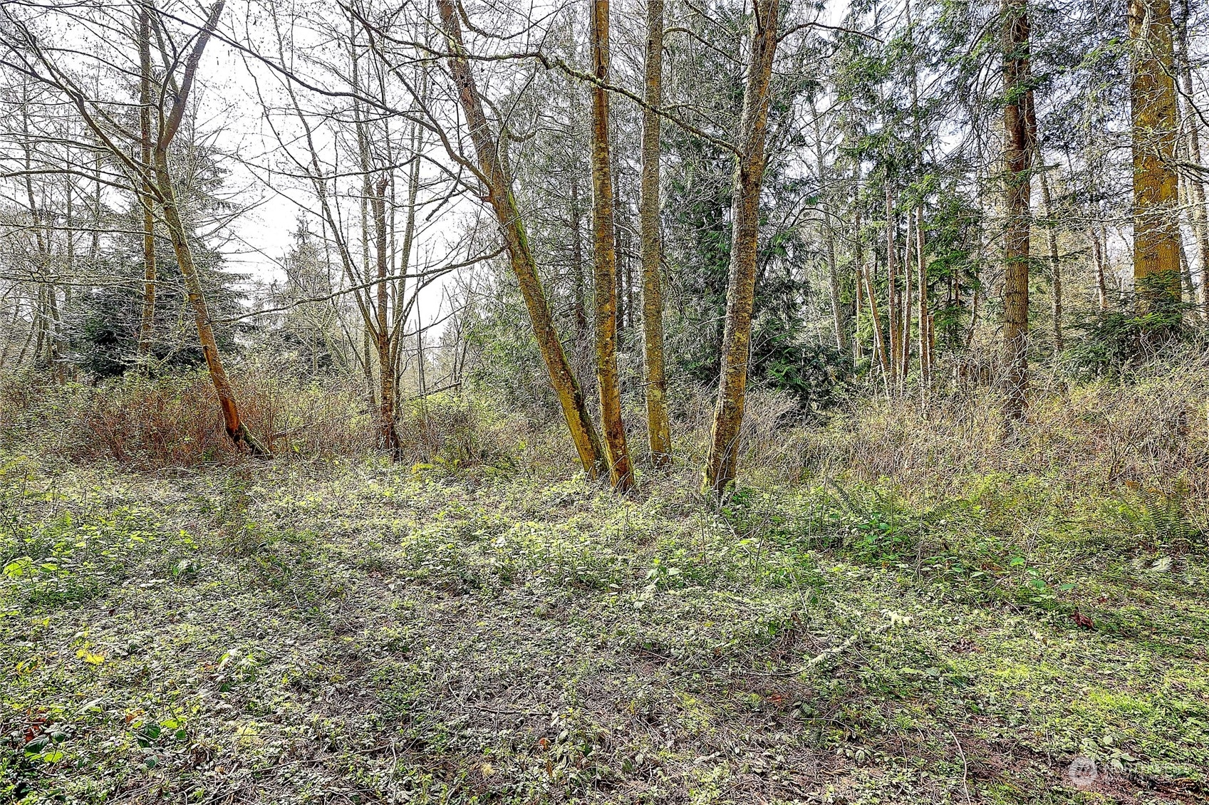 1802 Amber View Place Property Photo 3