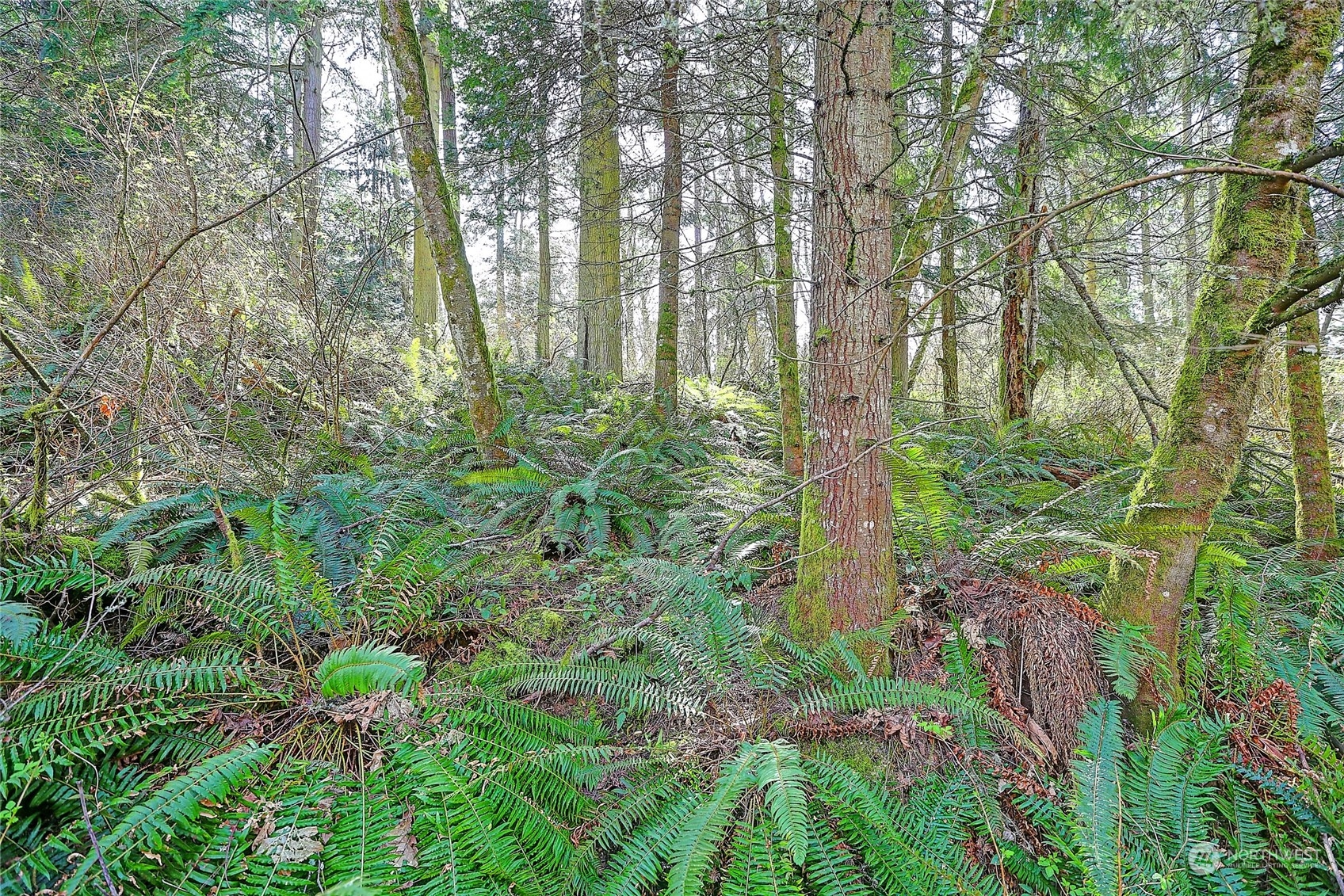 1802 Amber View Place Property Photo 4