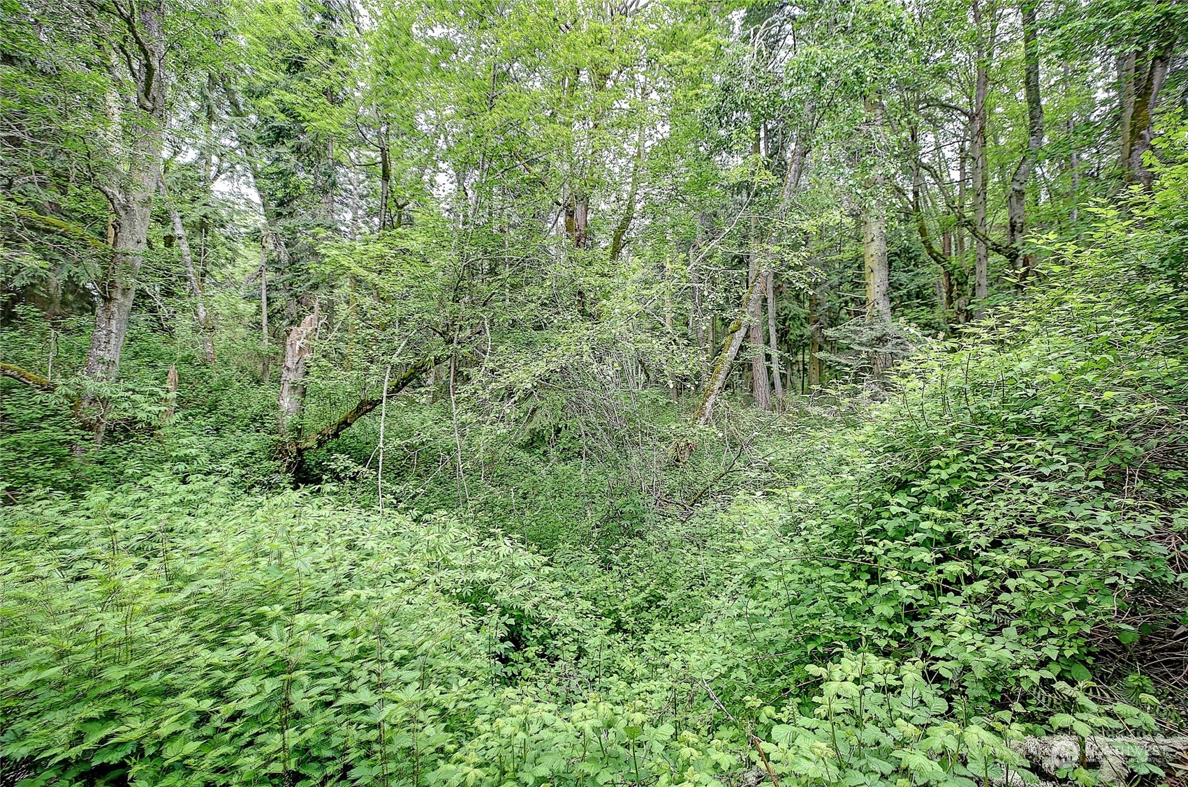 1802 Amber View Place Property Photo 5