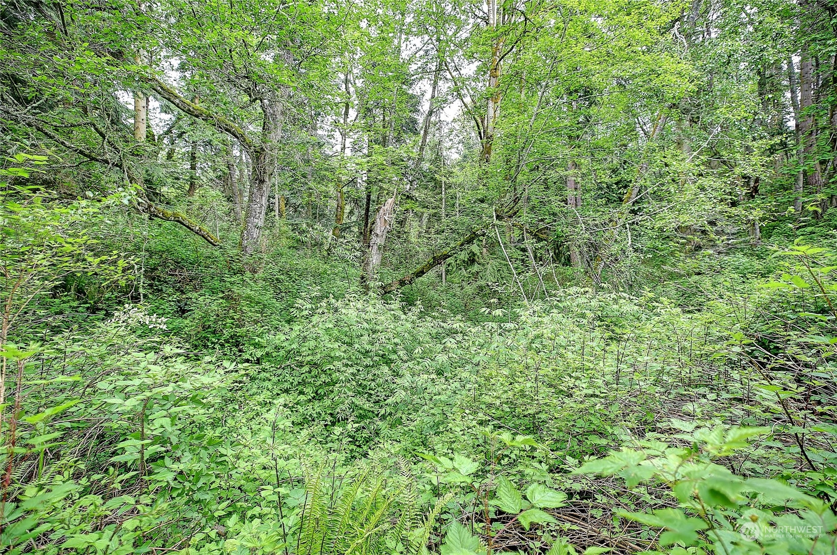1802 Amber View Place Property Photo 6