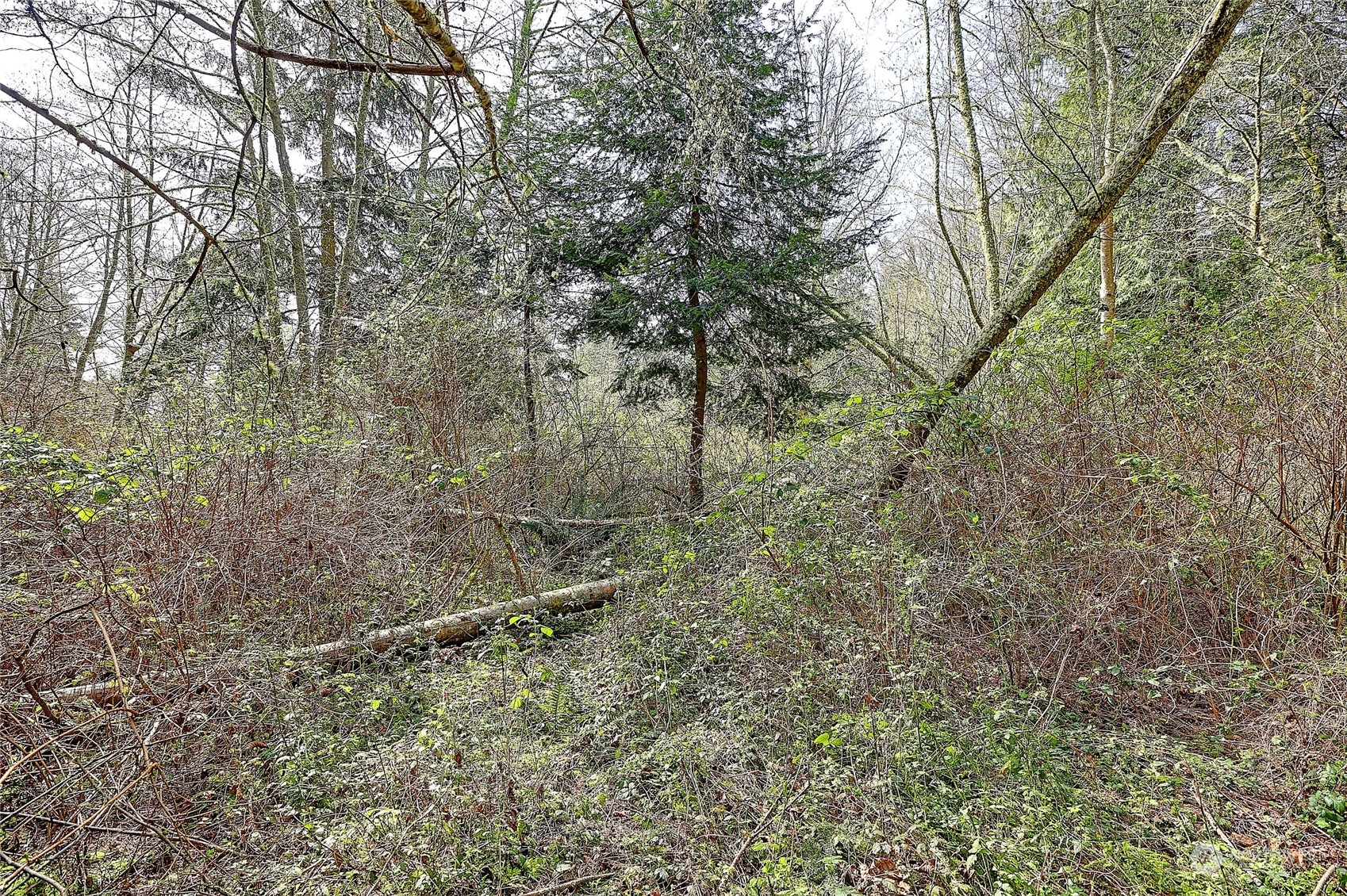 1802 Amber View Place Property Photo 7