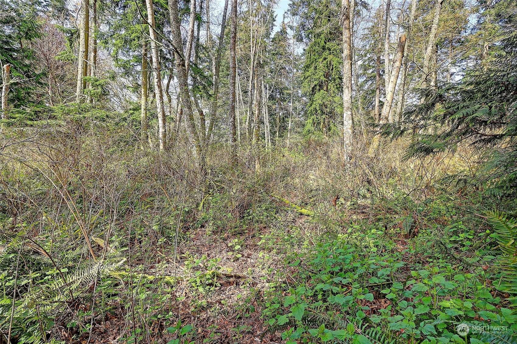 1802 Amber View Place Property Photo 8
