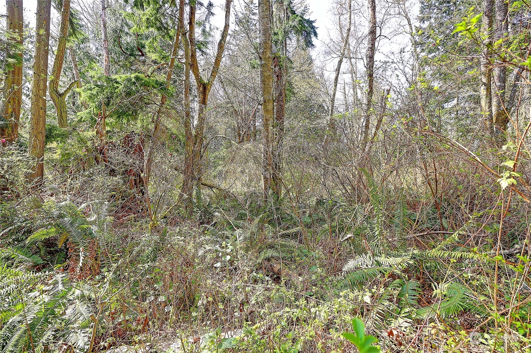 1802 Amber View Place Property Photo 10