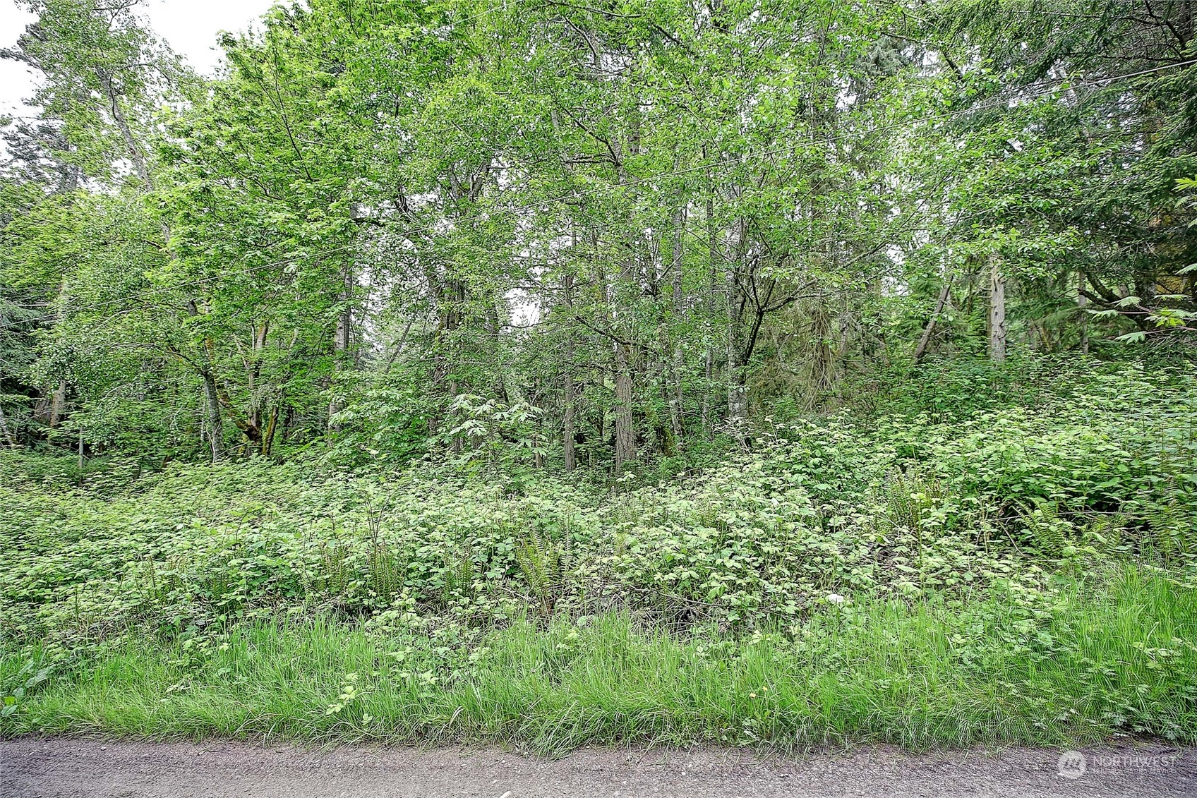 1804 Amber View Place Property Photo 15