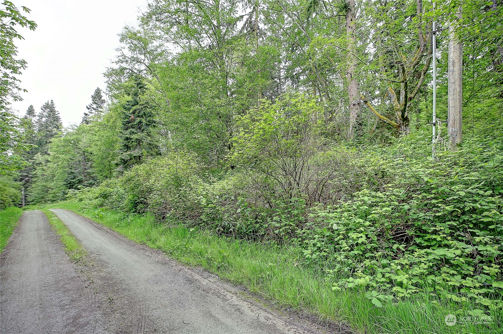1804 Amber View Place Property Photo 17