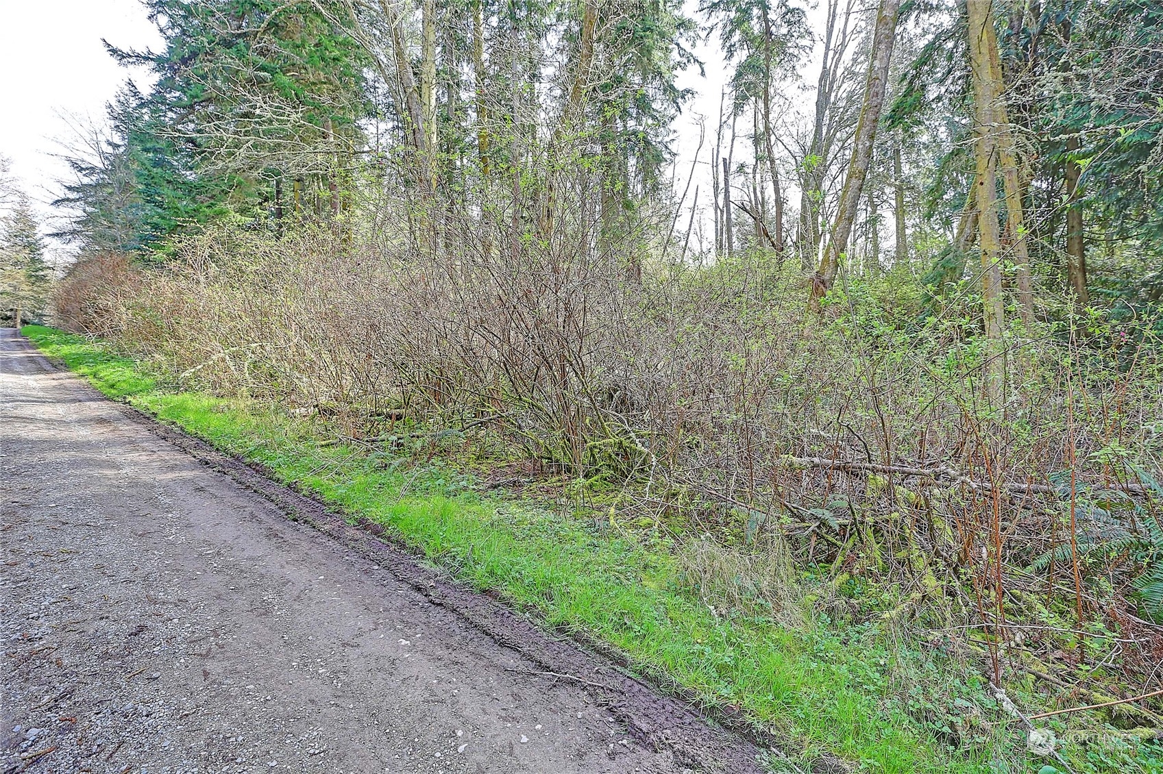 1804 Amber View Place Property Photo 18
