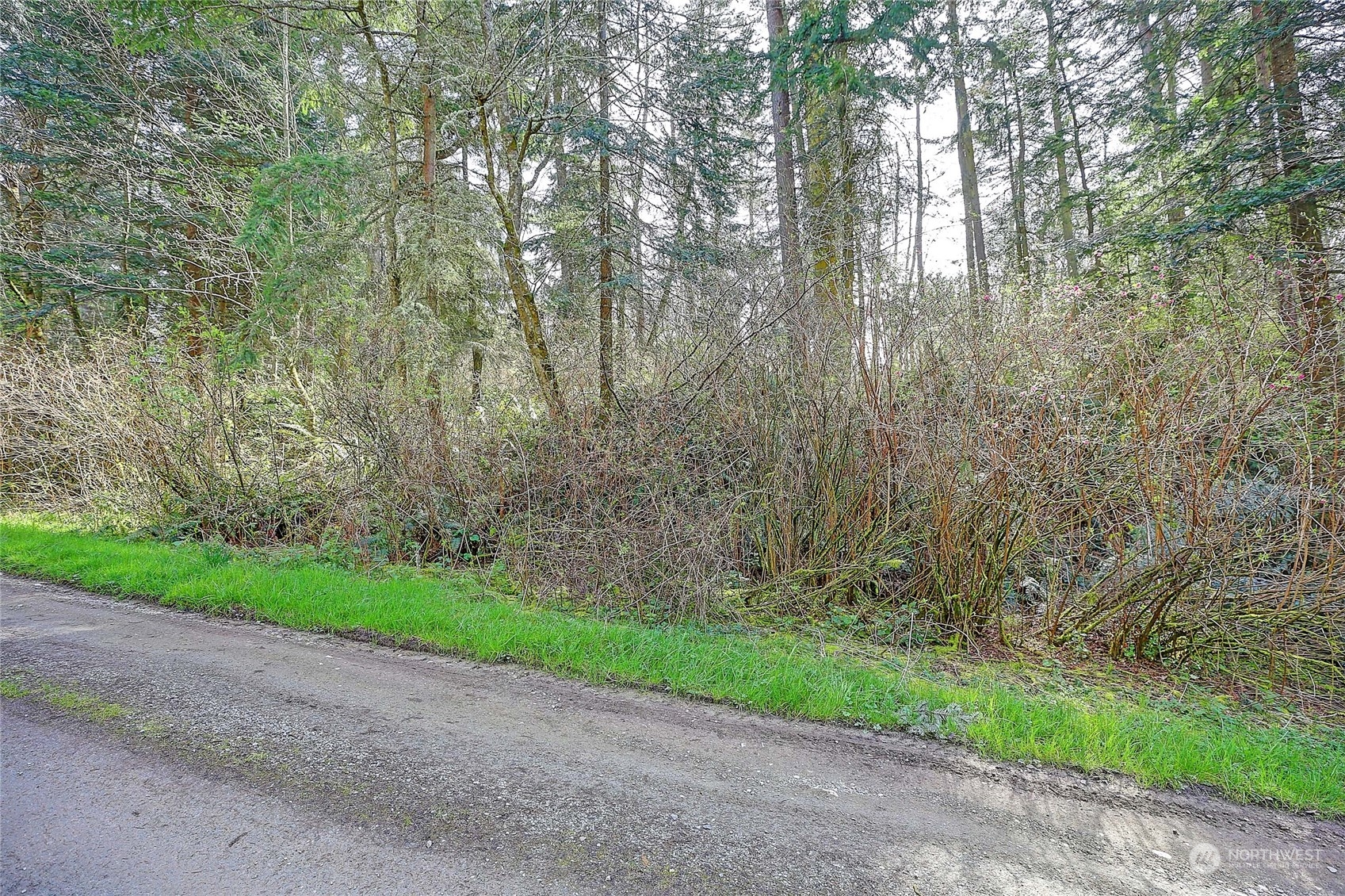 1804 Amber View Place Property Photo 19