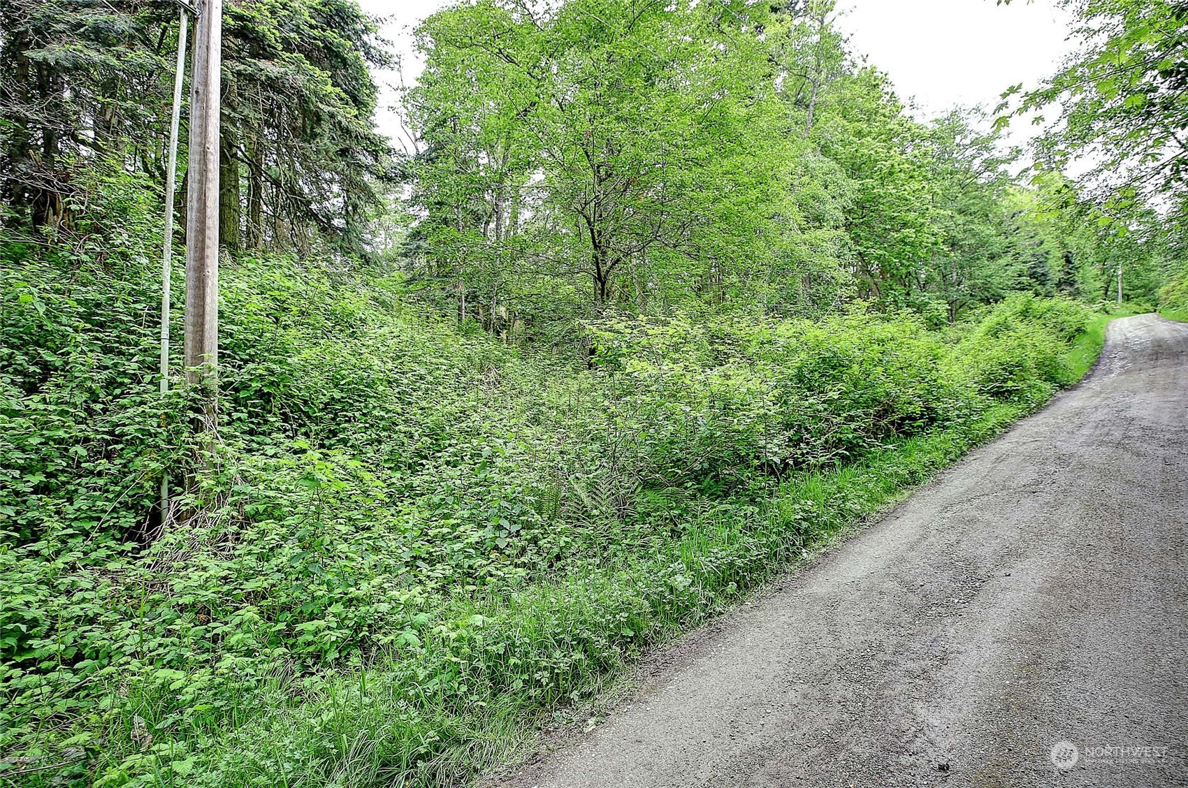 1804 Amber View Place Property Photo 20