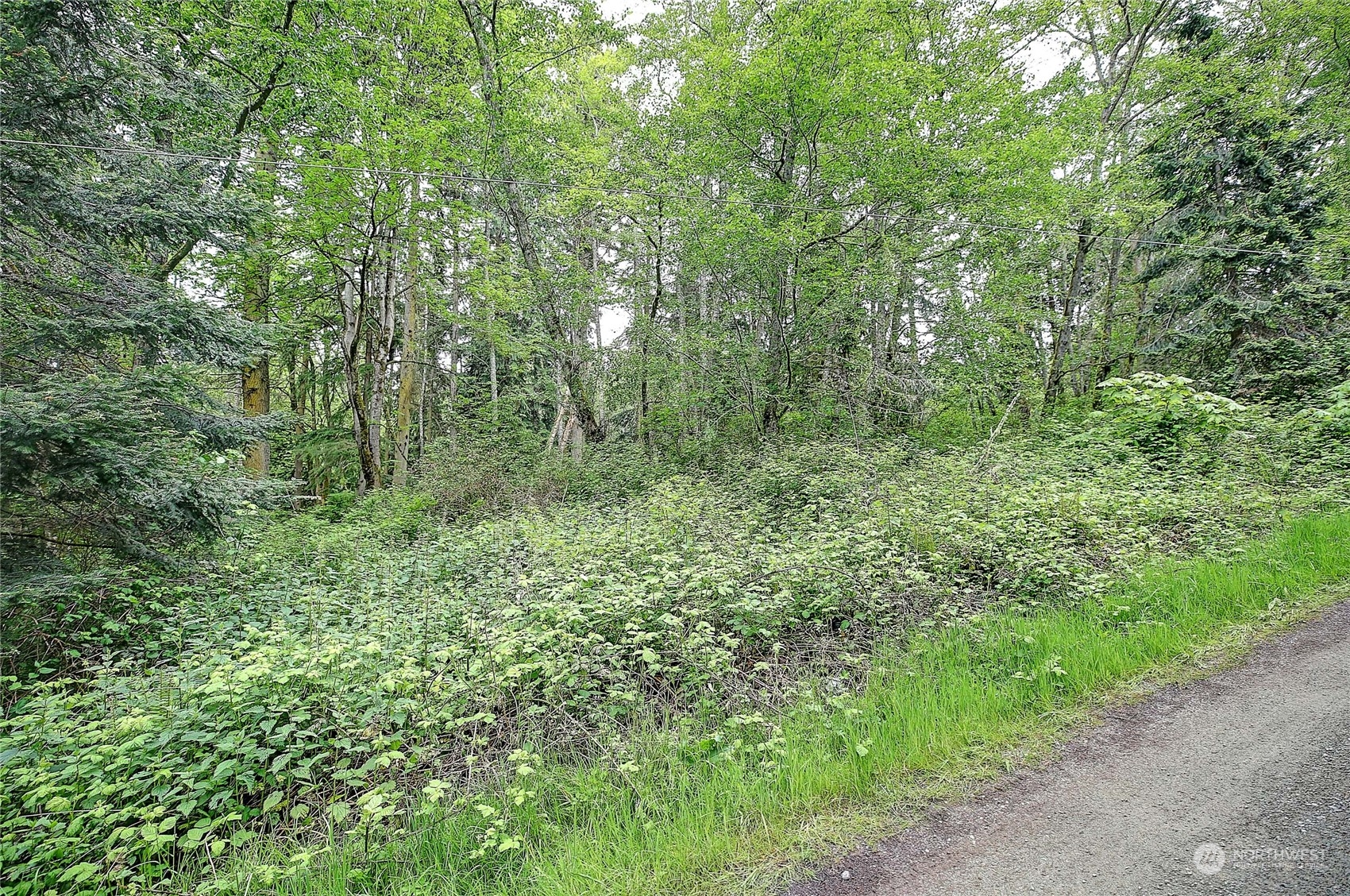 1804 Amber View Place Property Photo 21