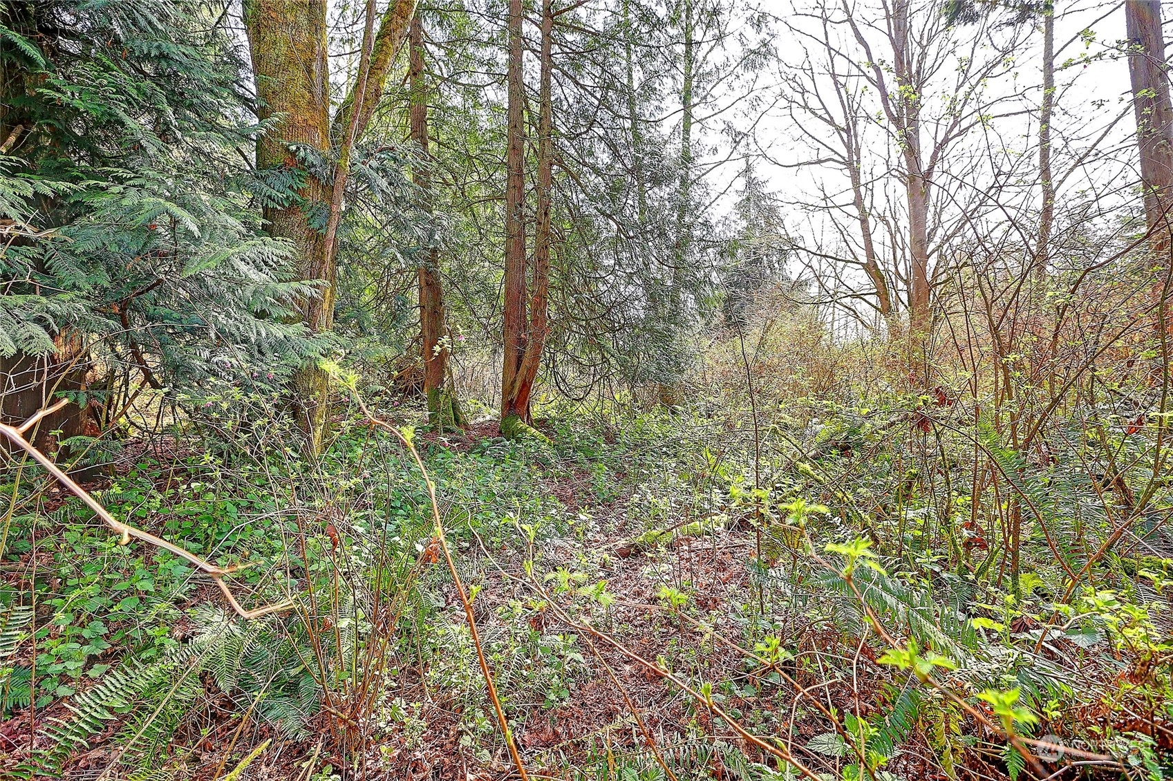 1804 Amber View Place Property Photo 25