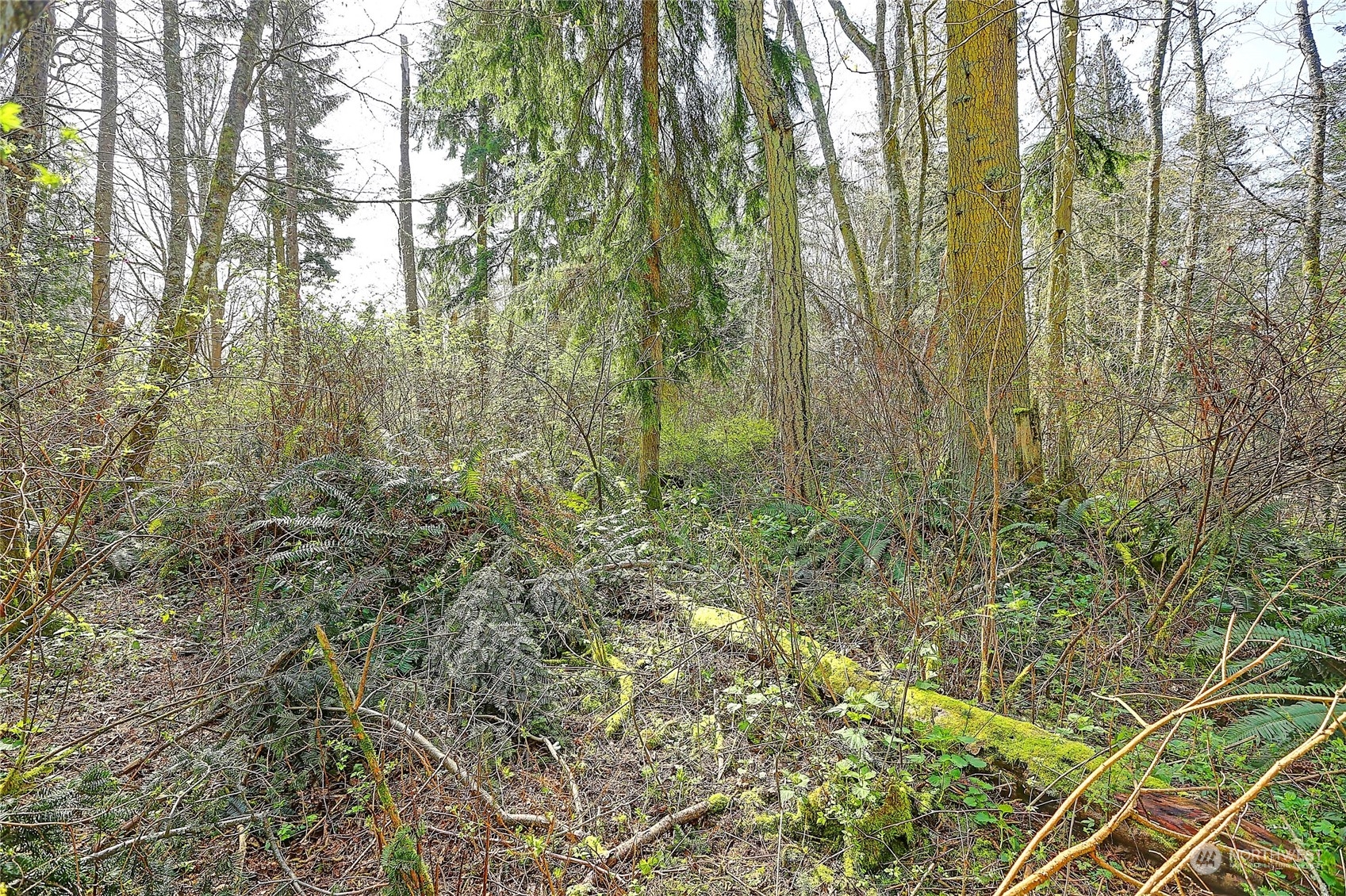 1804 Amber View Place Property Photo 28