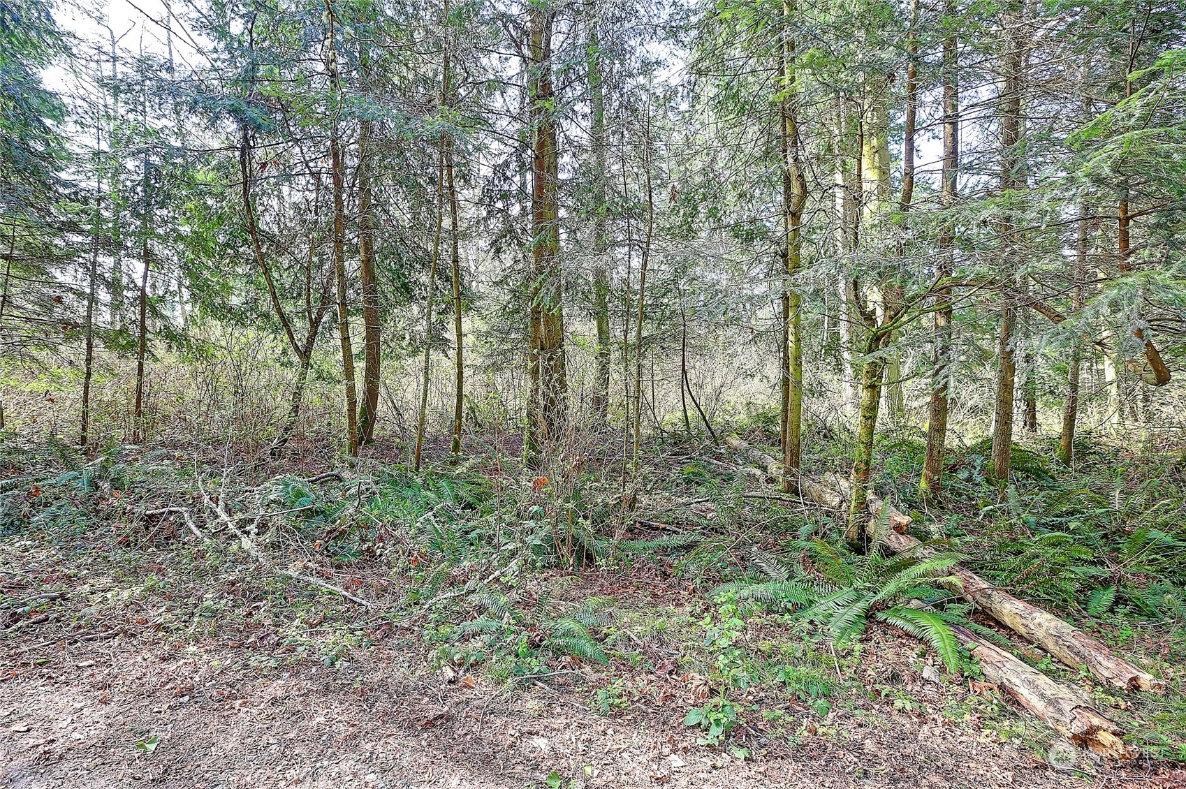 1804 Amber View Place Property Photo 29