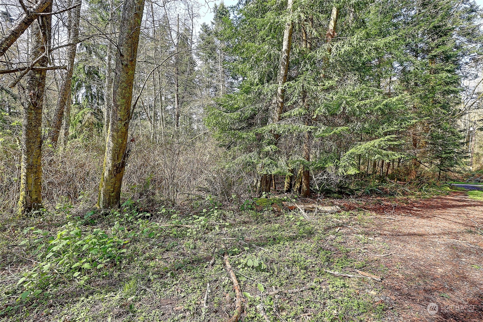 1804 Amber View Place Property Photo 31