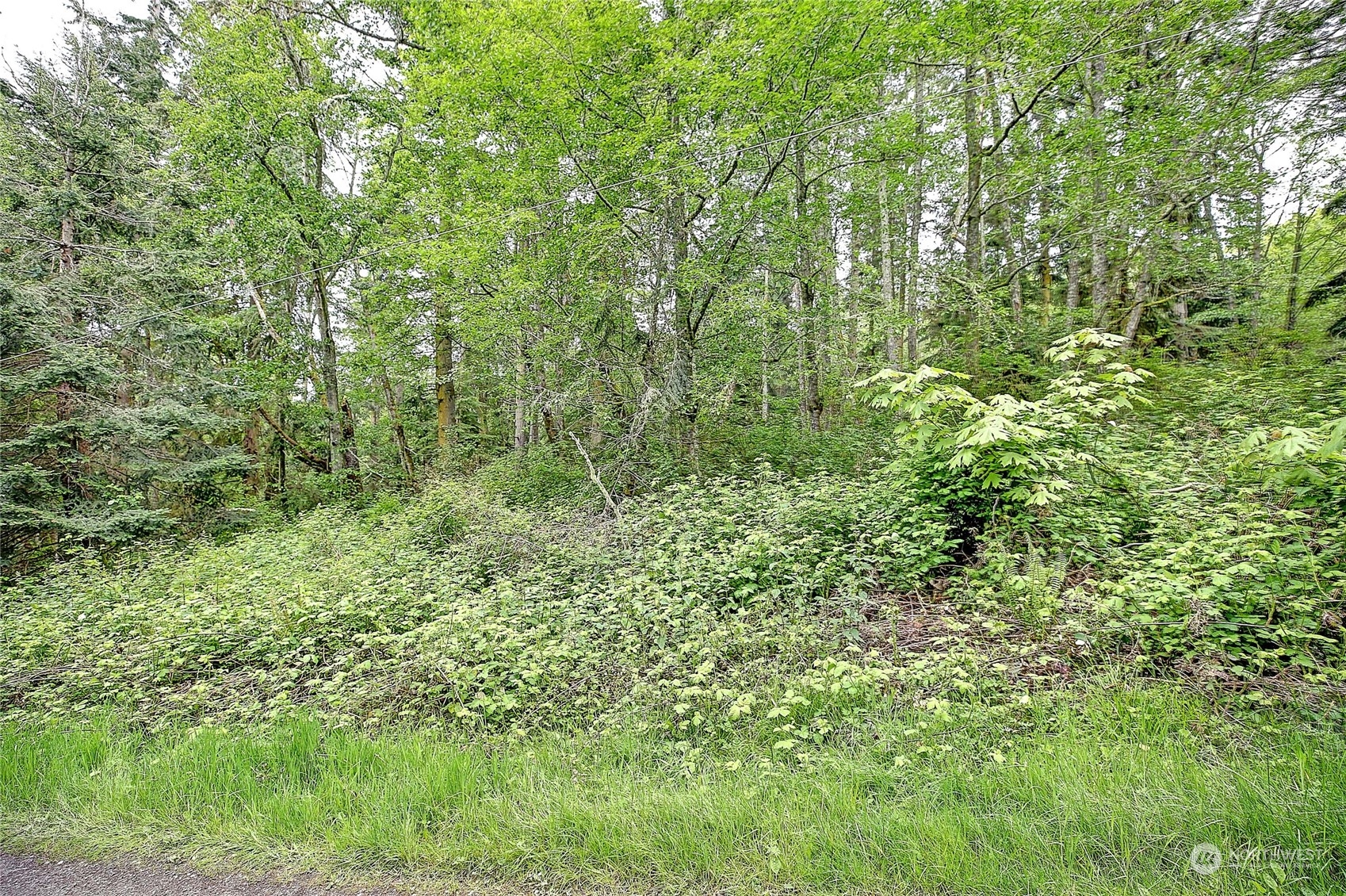 1804 Amber View Place Property Photo 33
