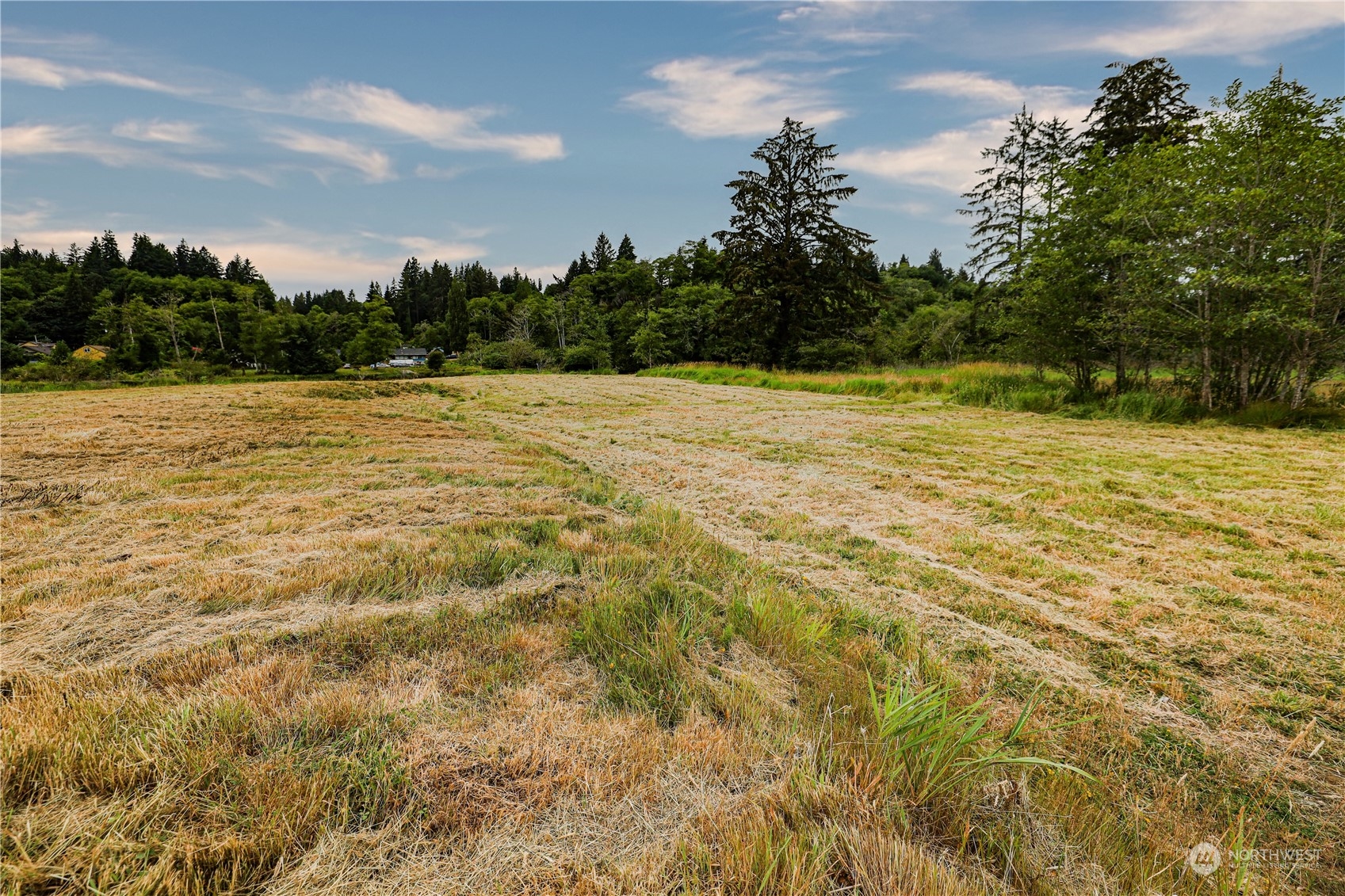 1701 Harrison Property Photo 11