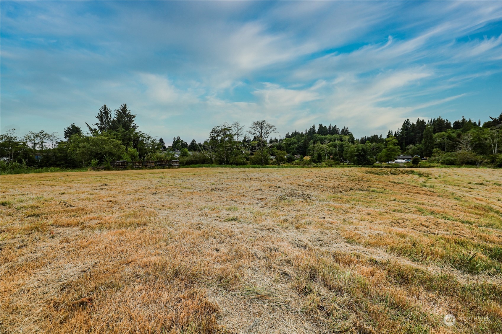 1701 Harrison Property Photo 12