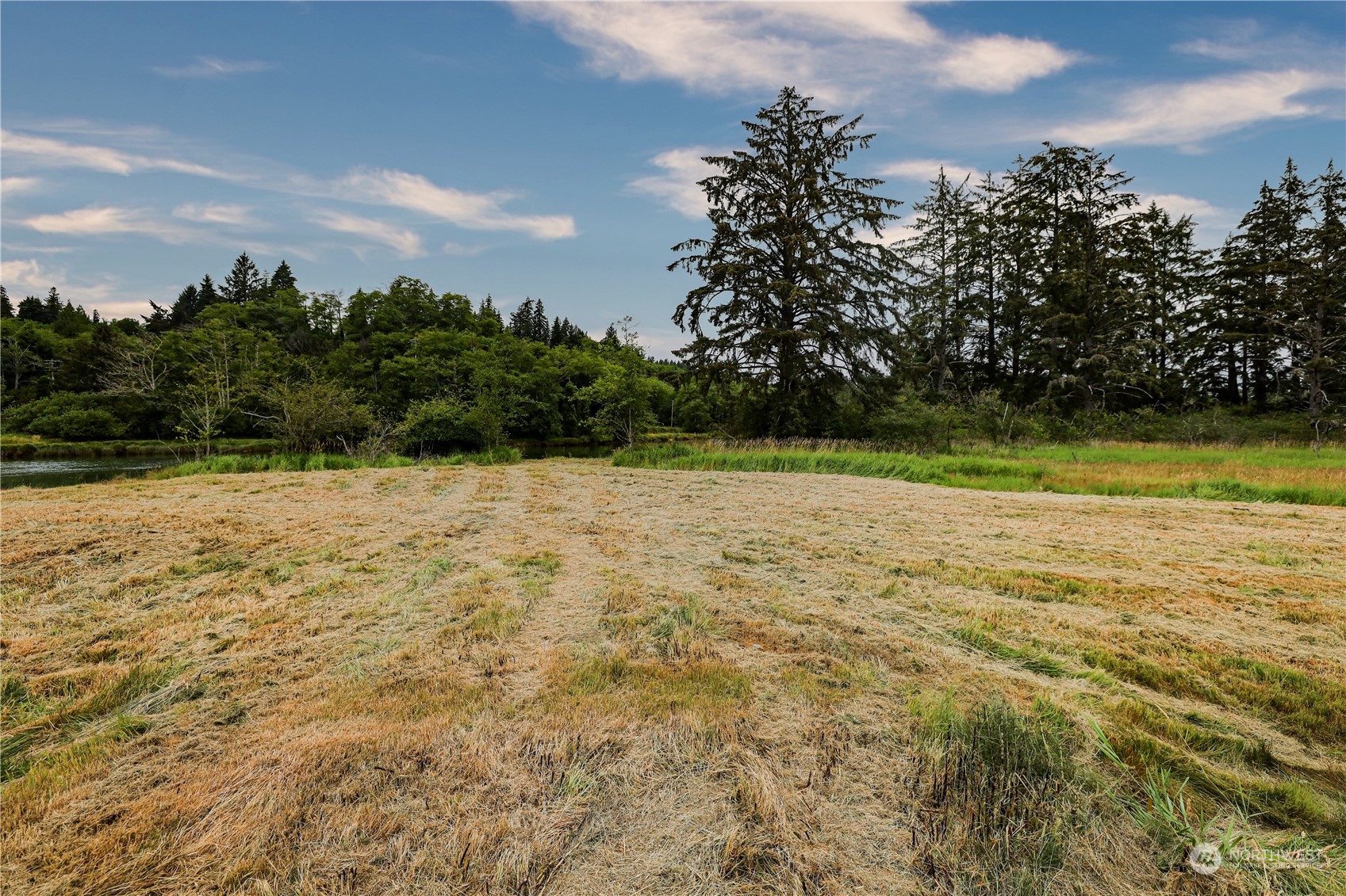 1701 Harrison Property Photo 16