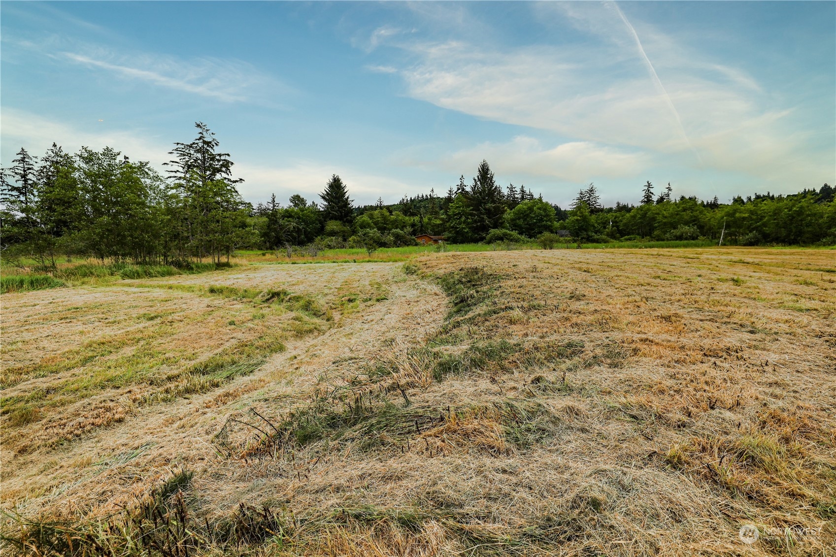 1701 Harrison Property Photo 18