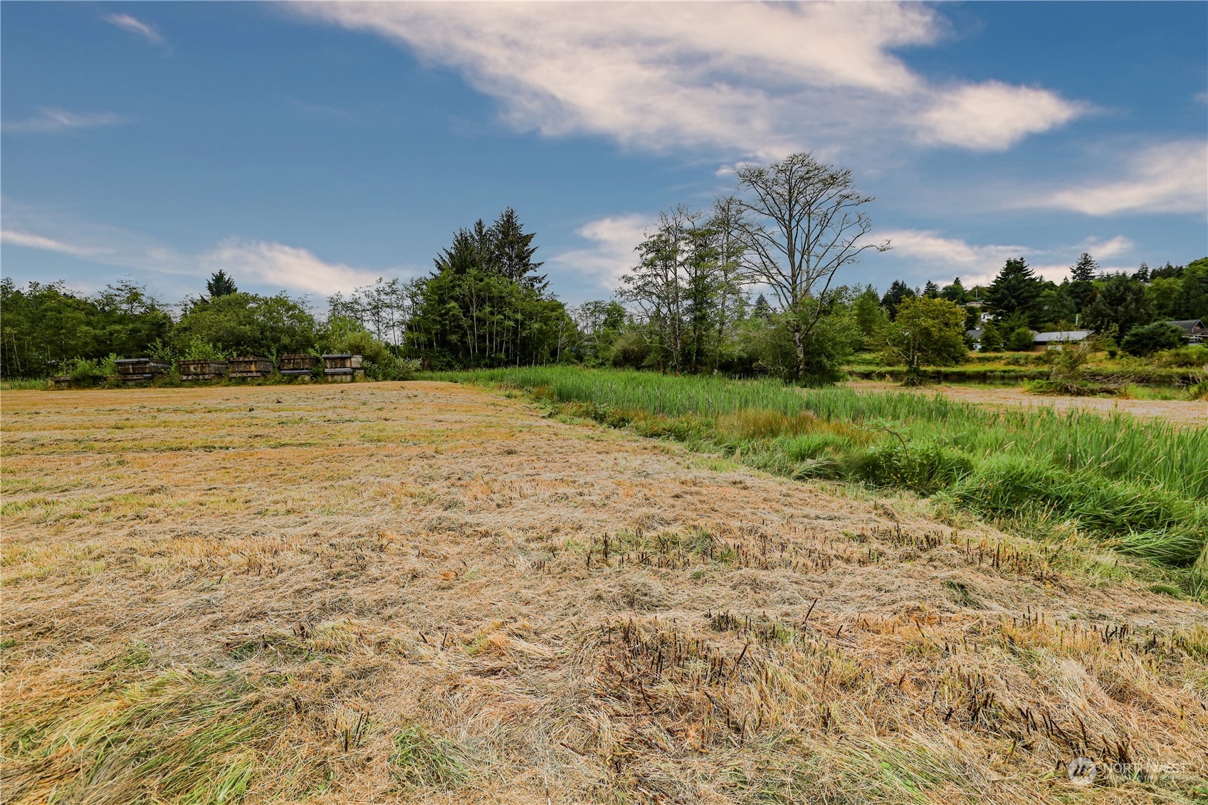 1701 Harrison Property Photo 19