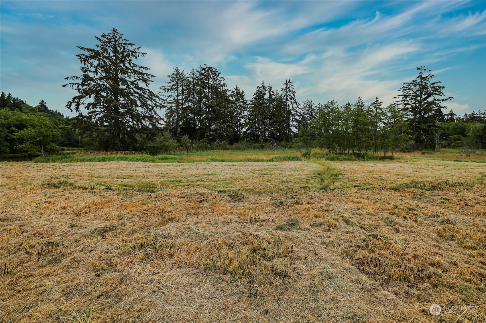 1701 Harrison Property Photo 20