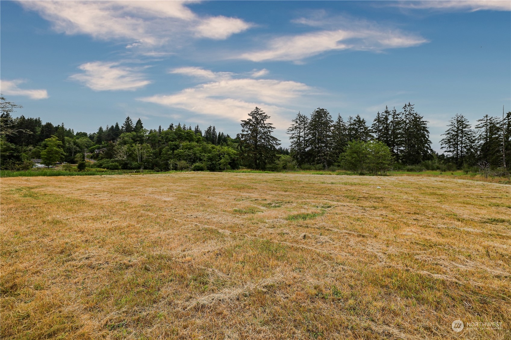 1701 Harrison Property Photo 22