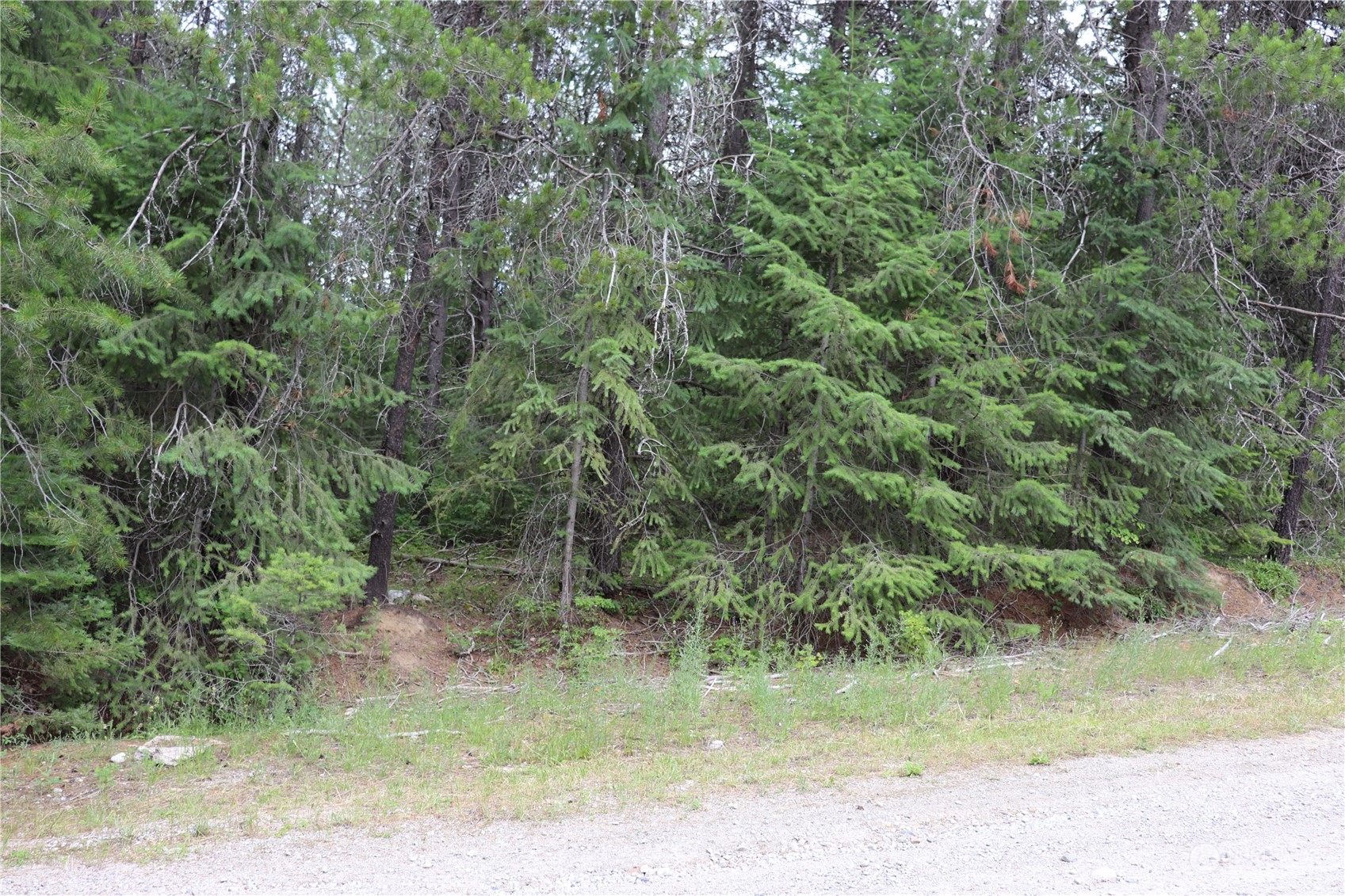 0 Lot 11 Diamond Drive Property Photo